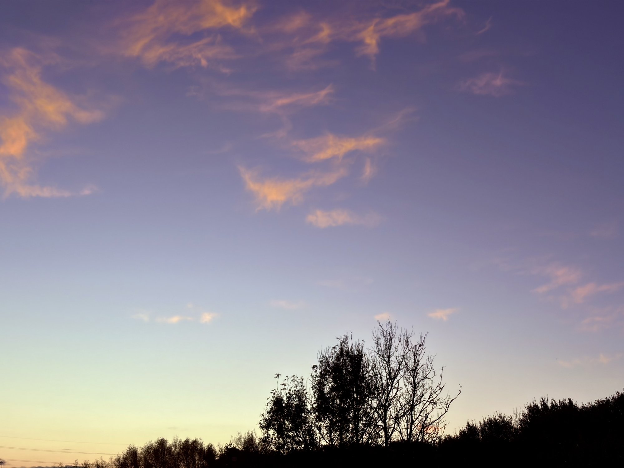 IMG_0917.jpeg