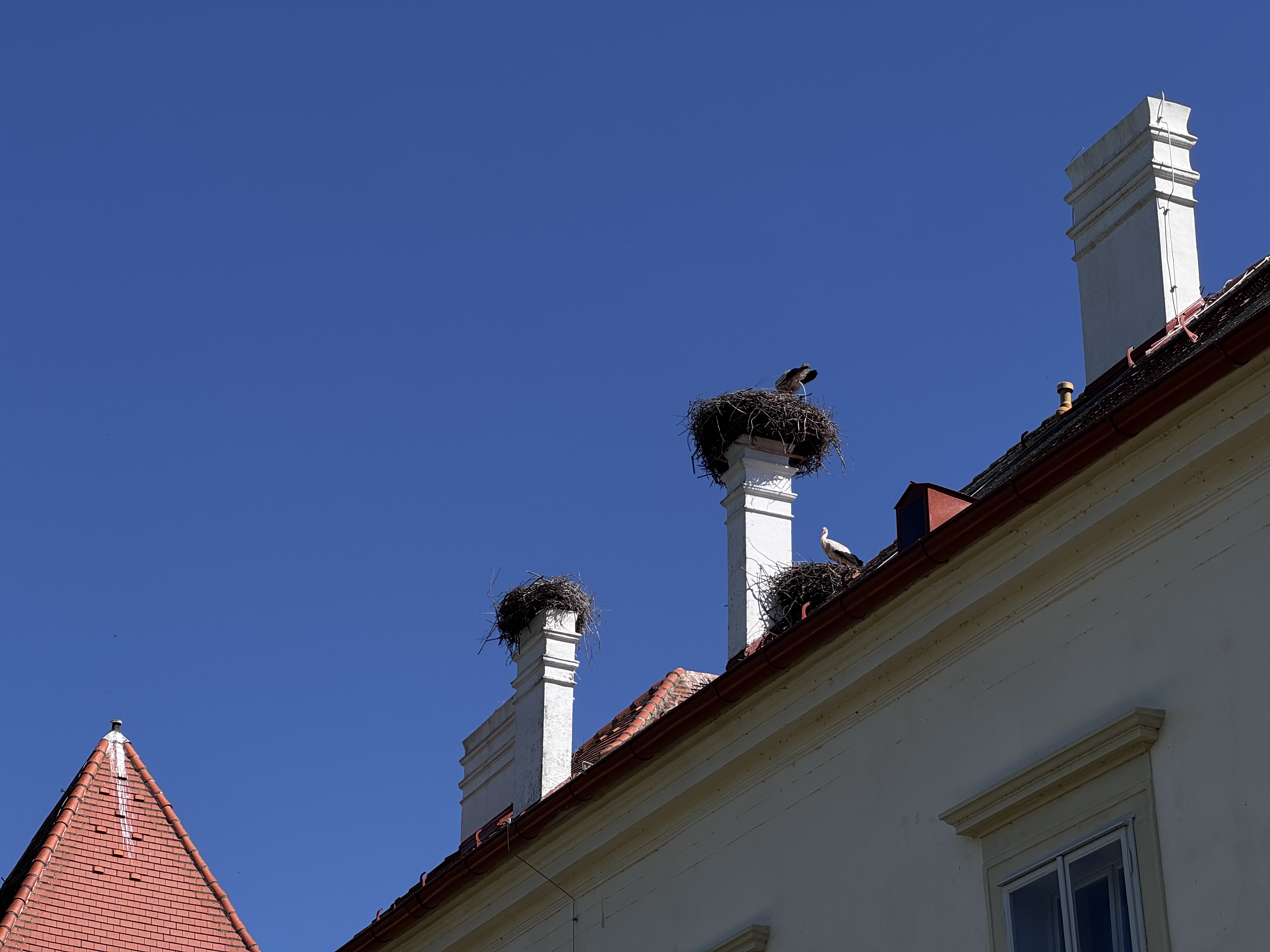 IMG_0939.jpeg