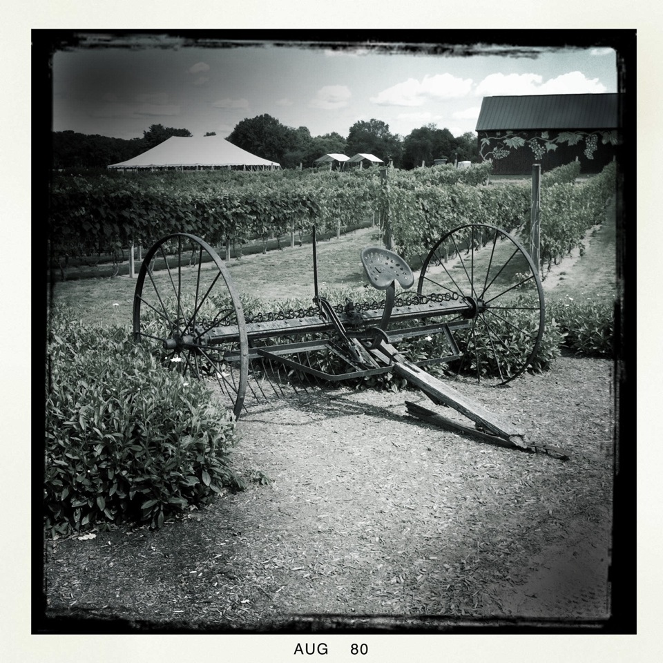 IMG_0944_2.jpeg