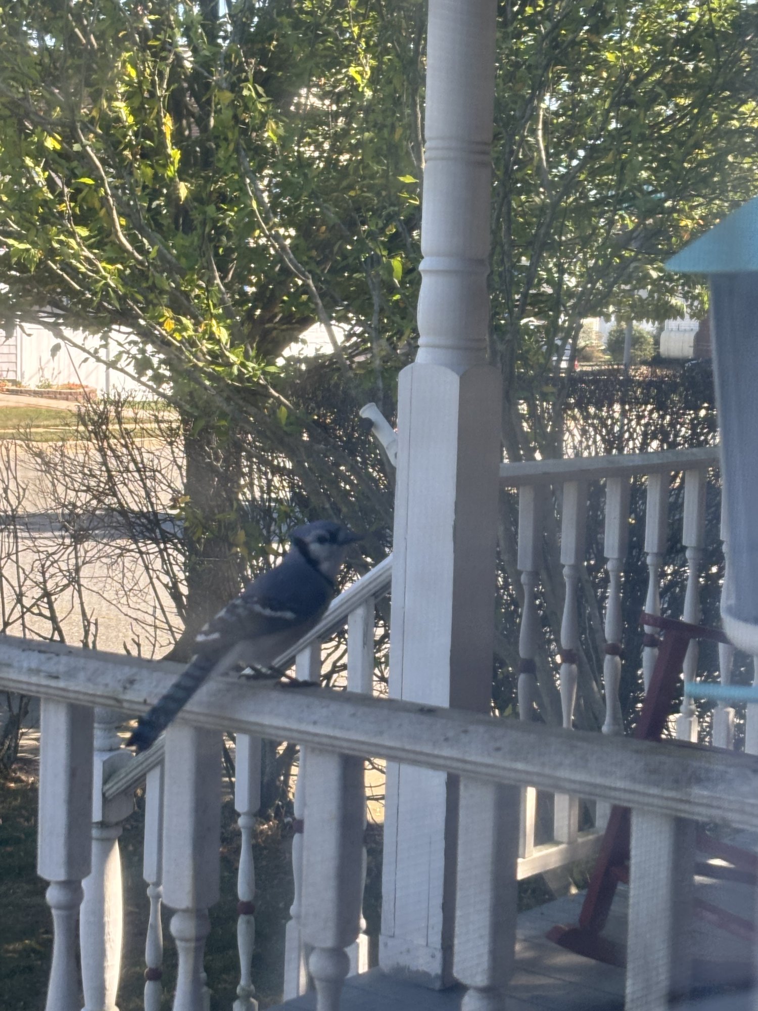 IMG_1047.jpeg