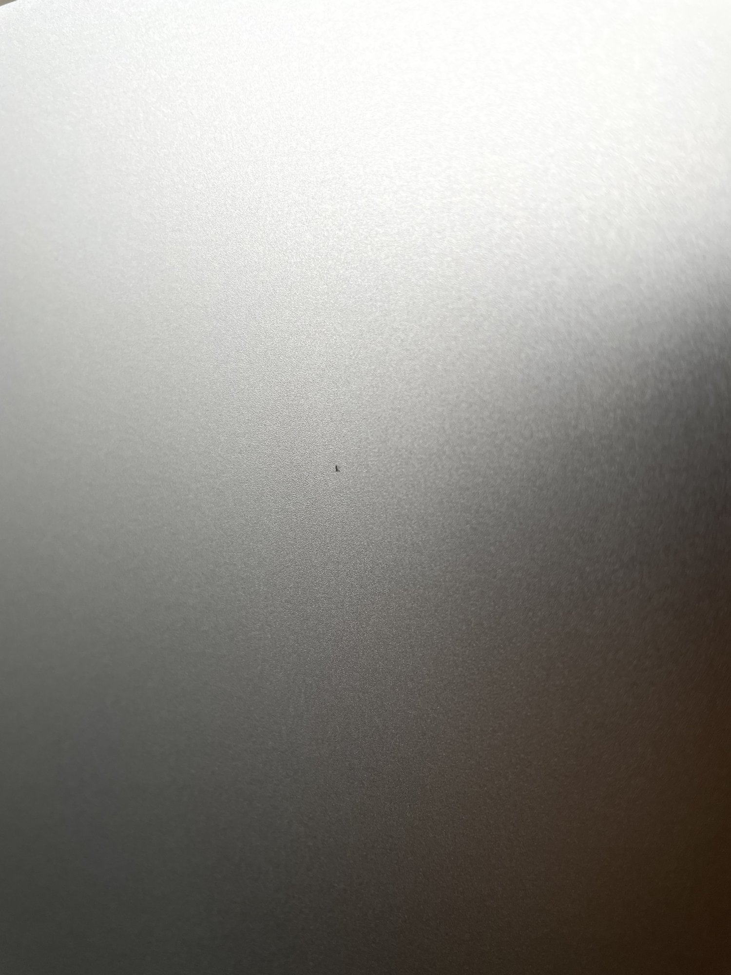 IMG_1073.jpeg