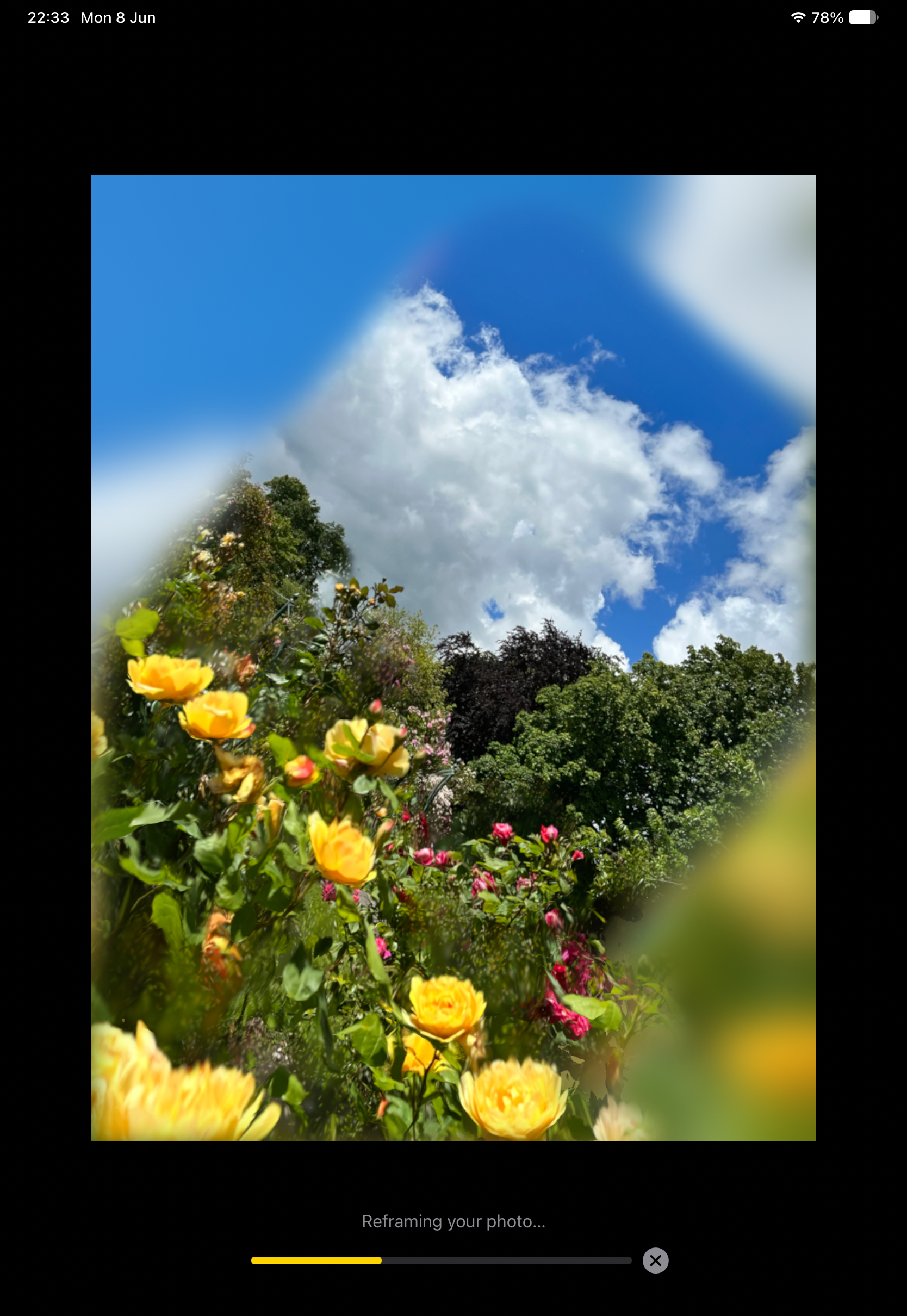IMG_1129.png