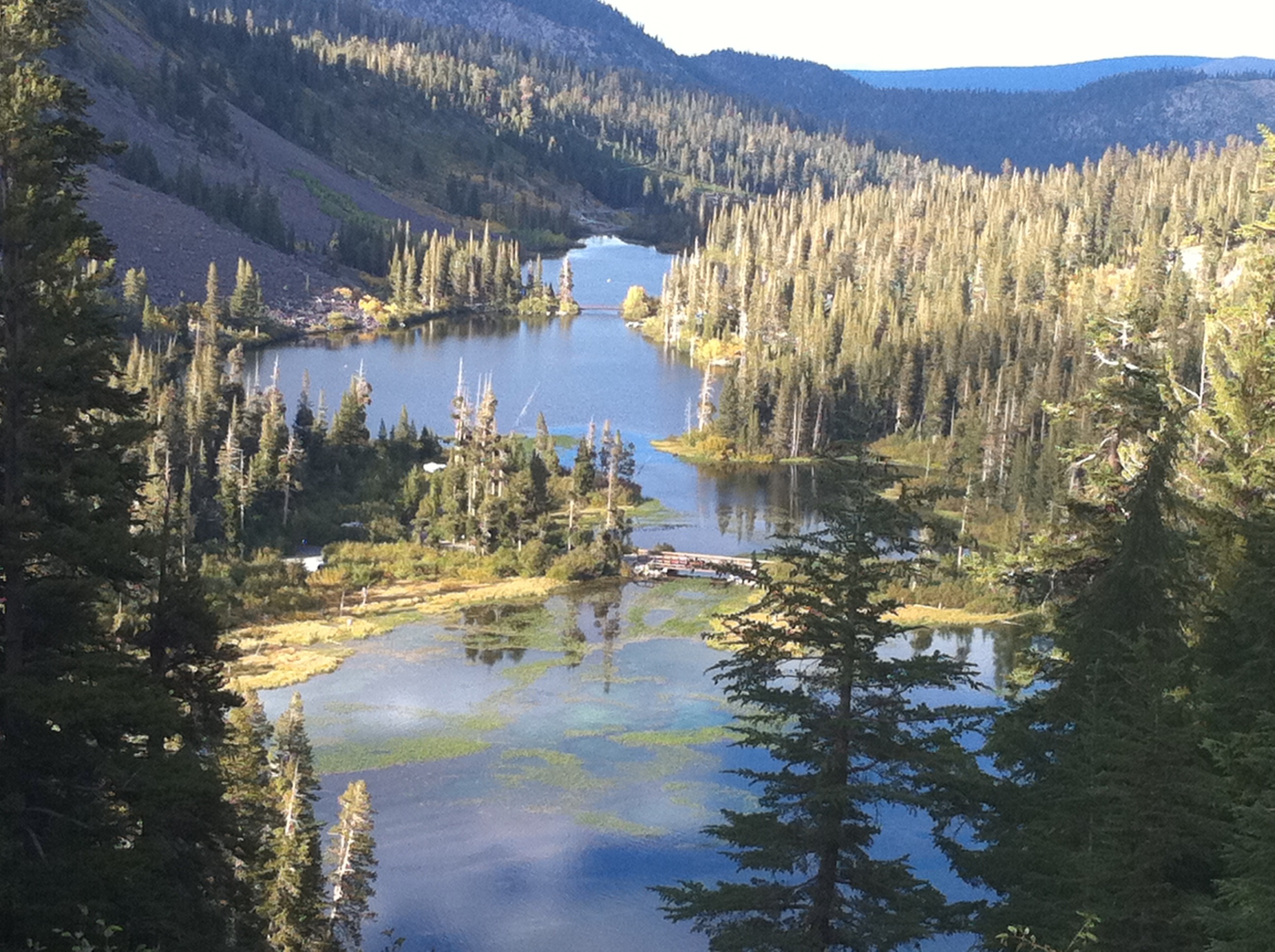 IMG_1151 copy.jpg