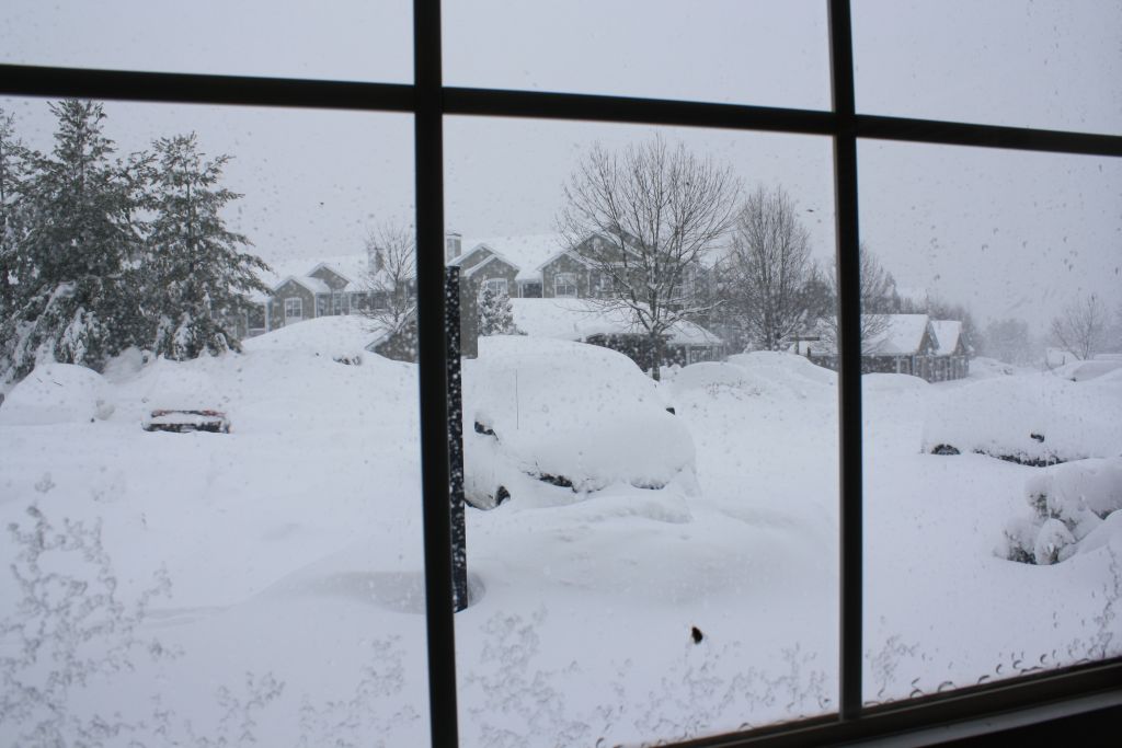IMG_1168.JPG