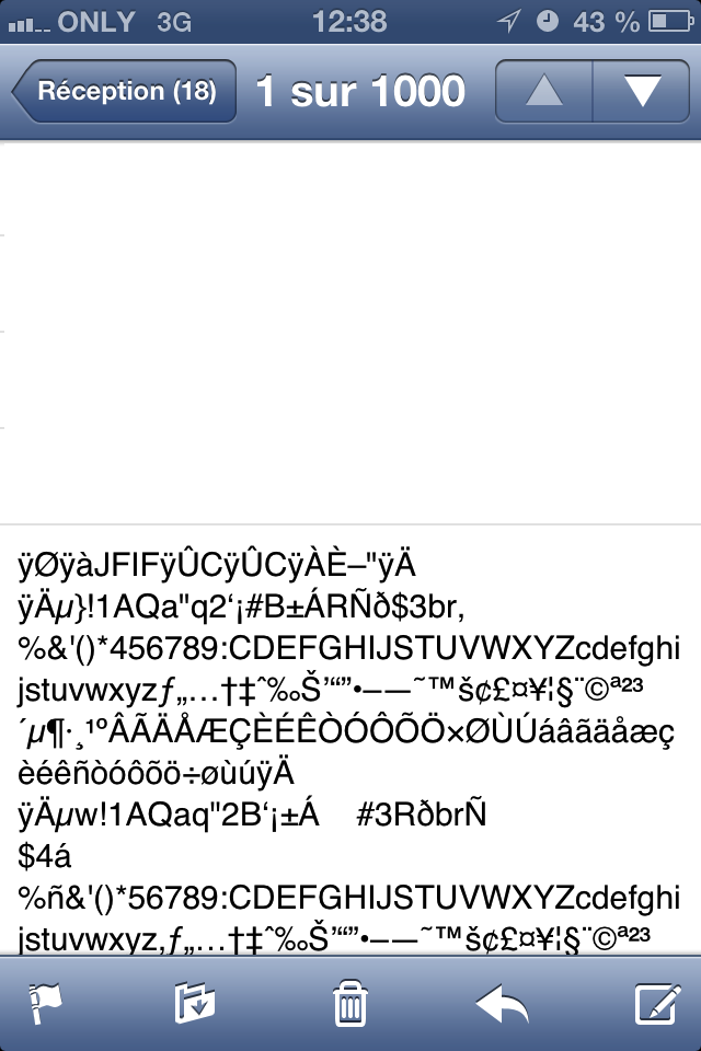 IMG_1174.PNG