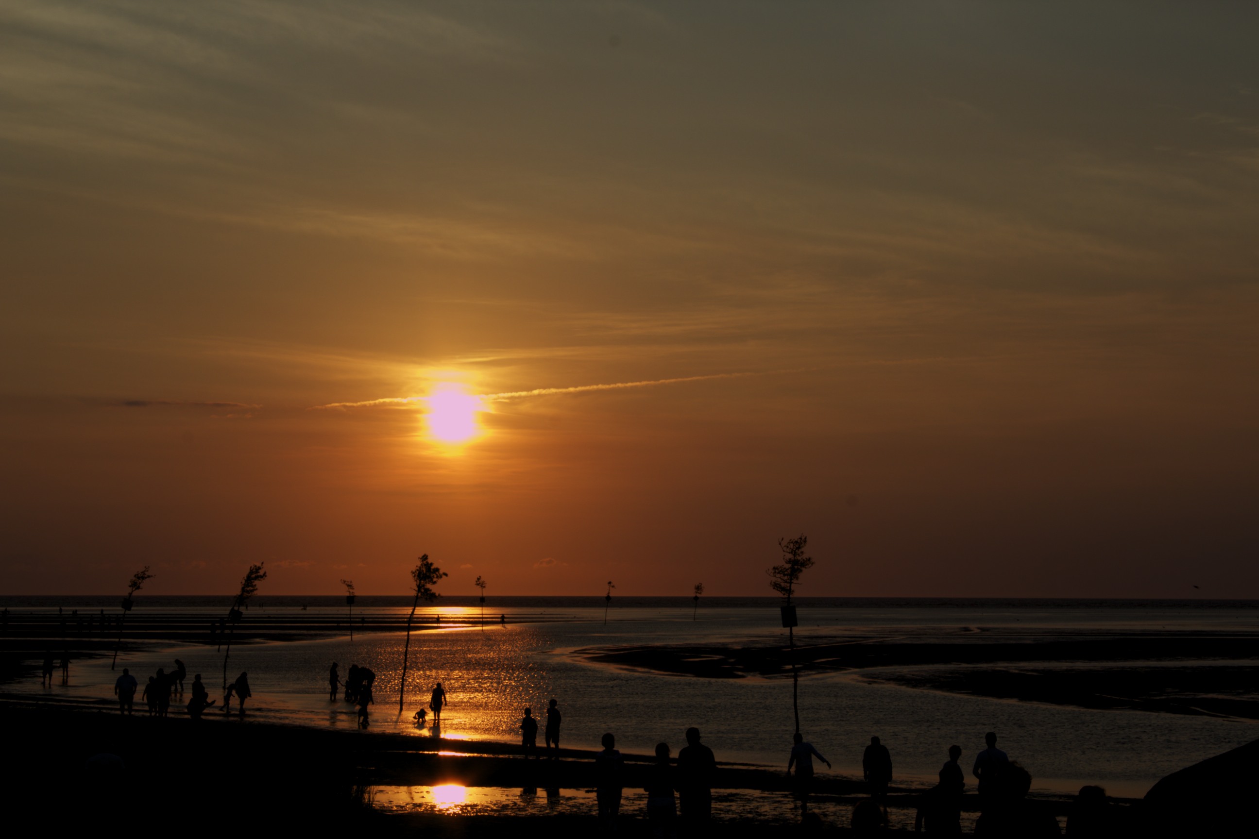 IMG_1265 - Version 2.jpg