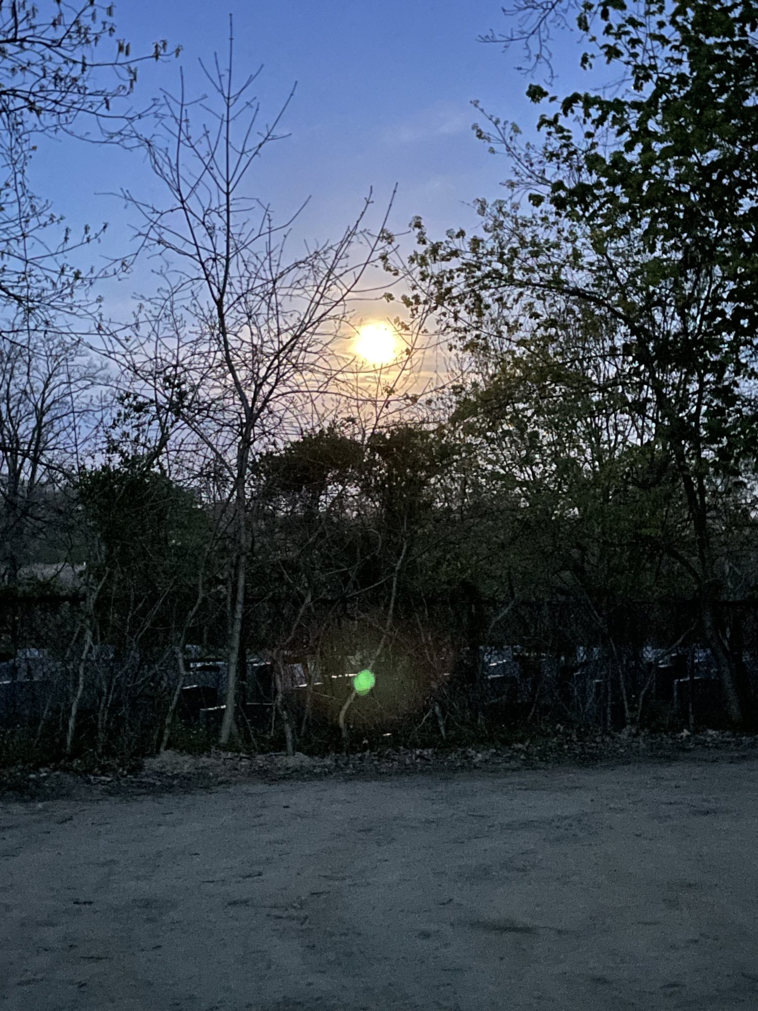 IMG_1355.jpeg