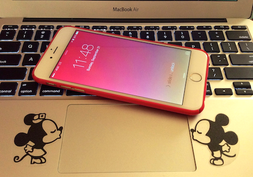 IMG_1493-1 copy 3.png