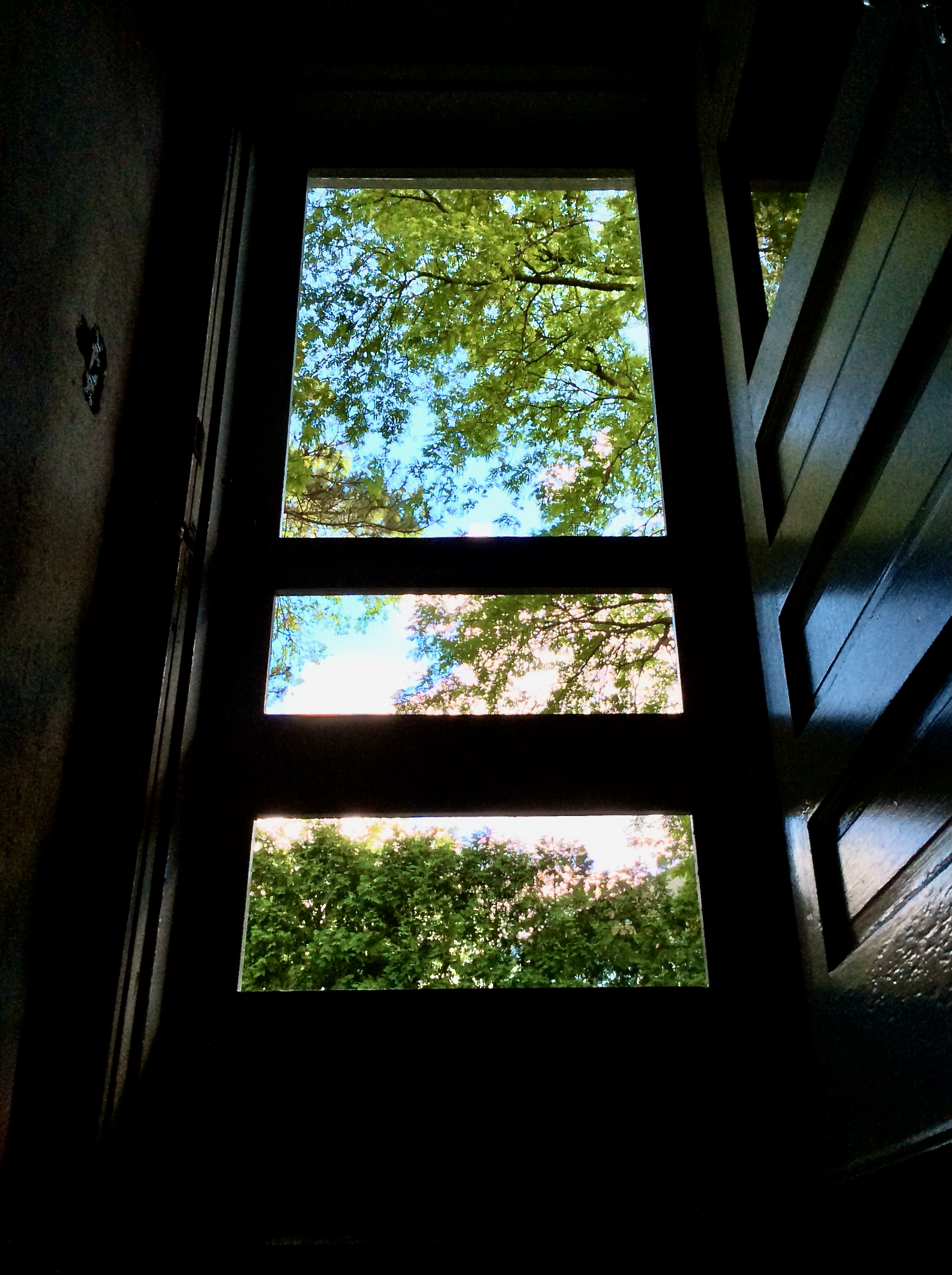 IMG_1514.jpeg
