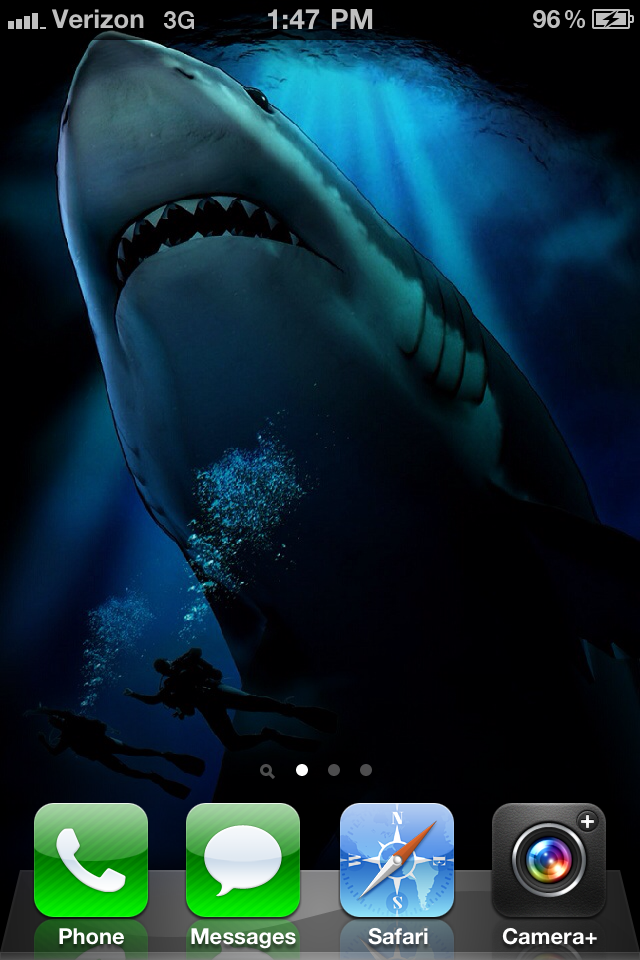 IMG_1517.PNG
