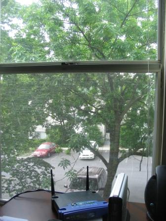 IMG_1591.JPG