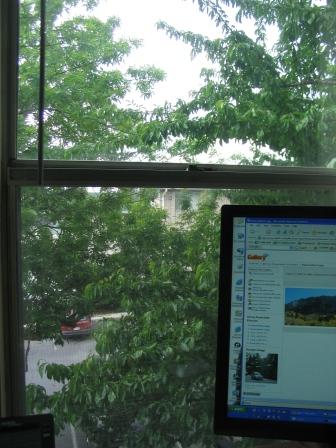 IMG_1592.JPG