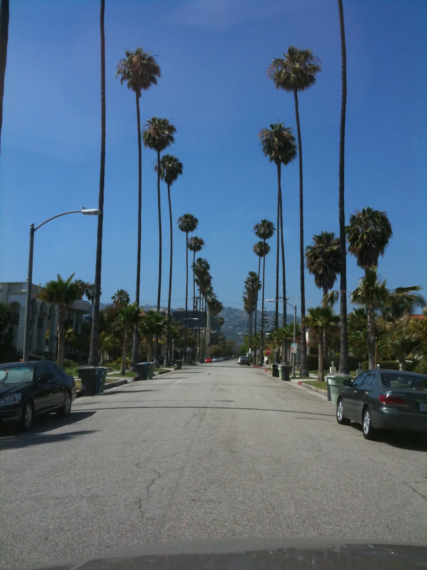 IMG_1599.jpg