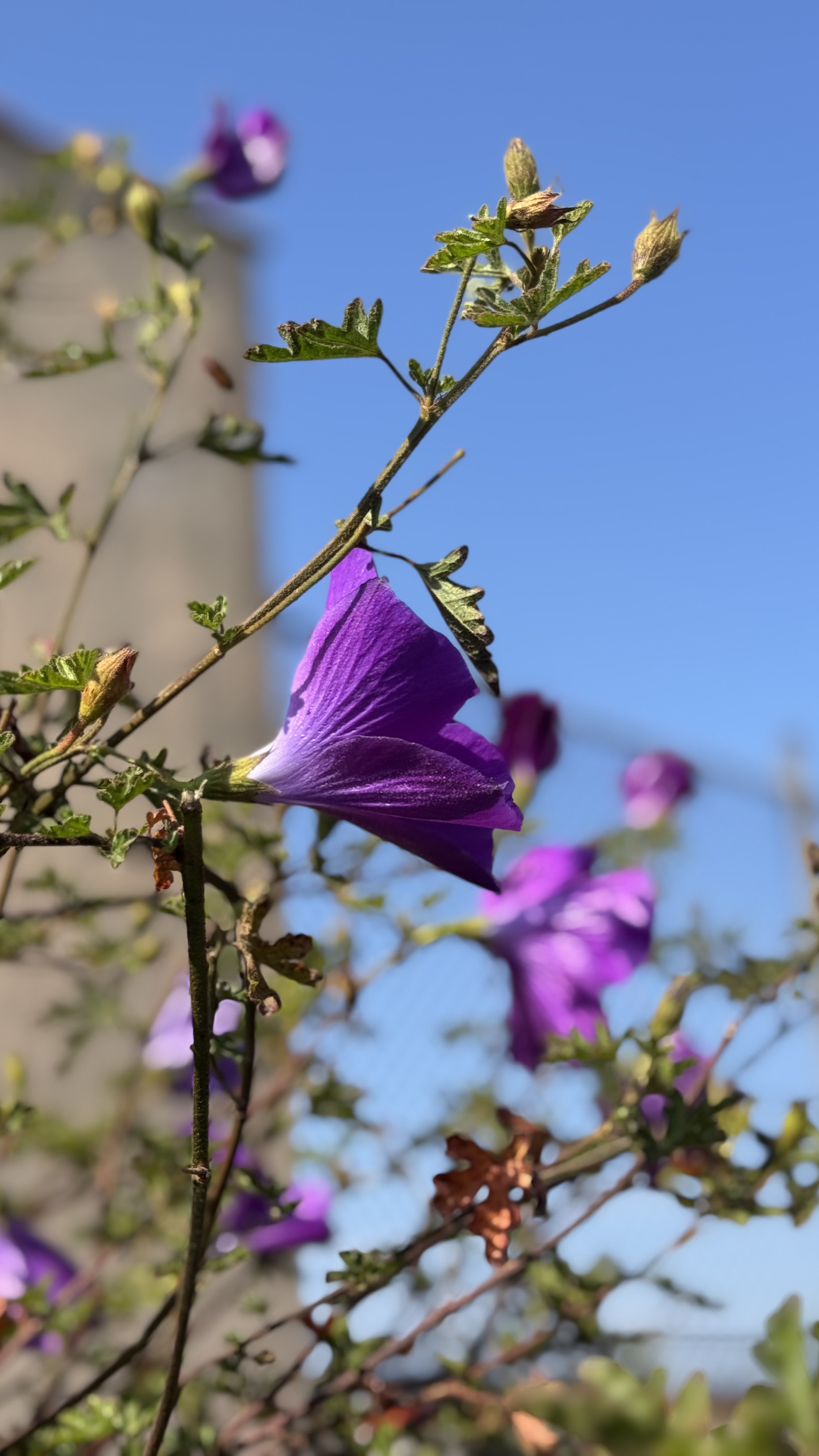 IMG_1602.jpeg