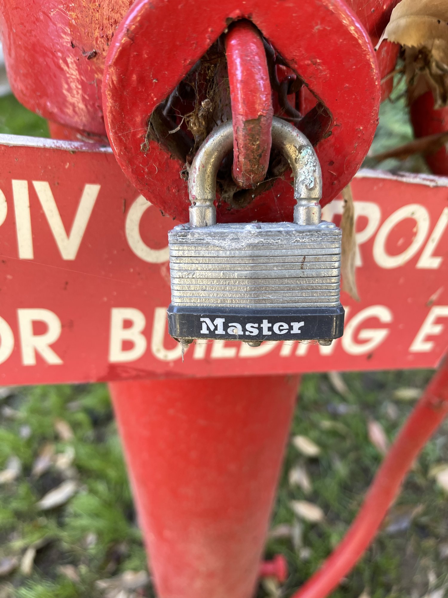 IMG_1735.jpeg