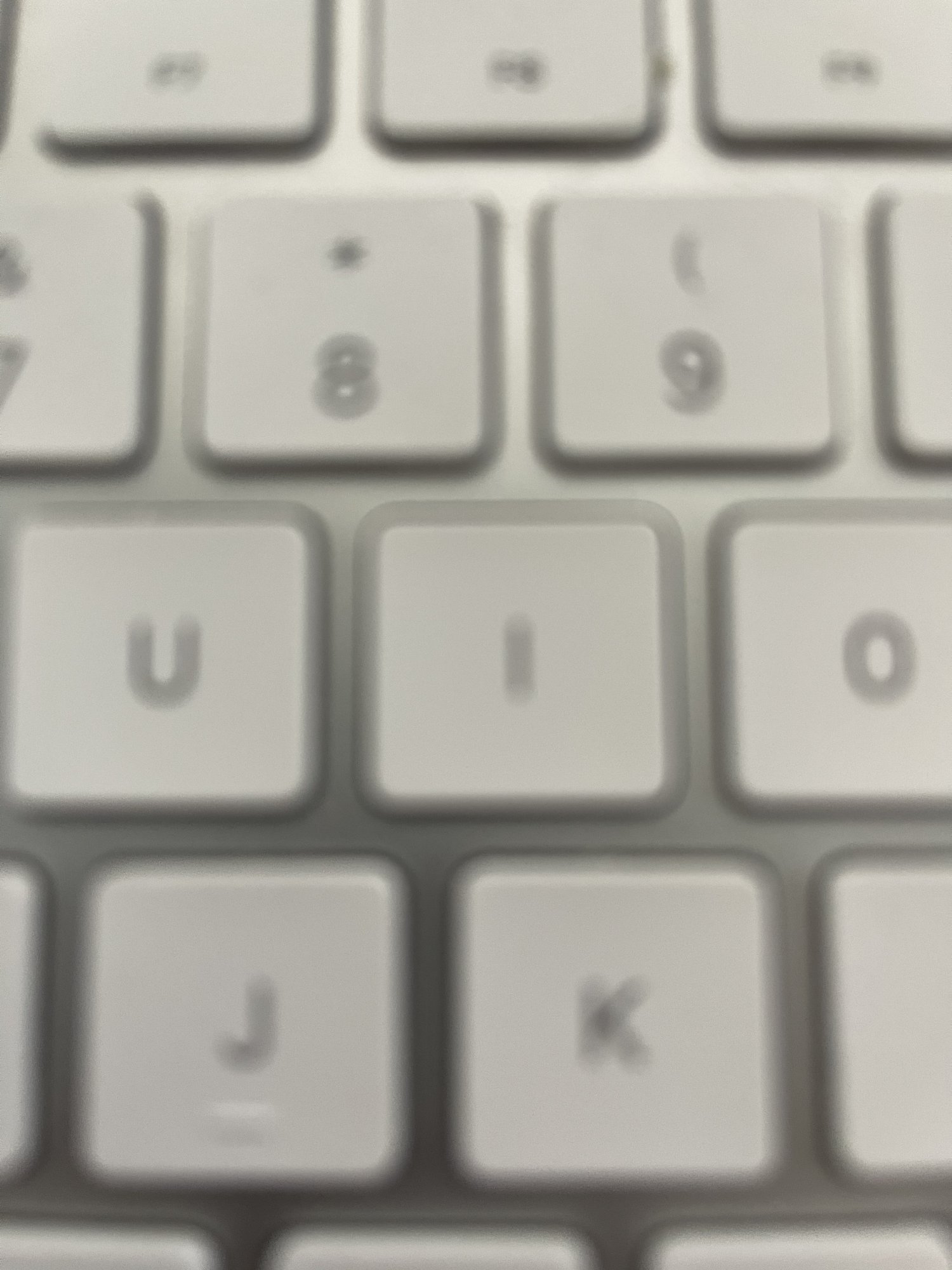 IMG_1751.jpeg