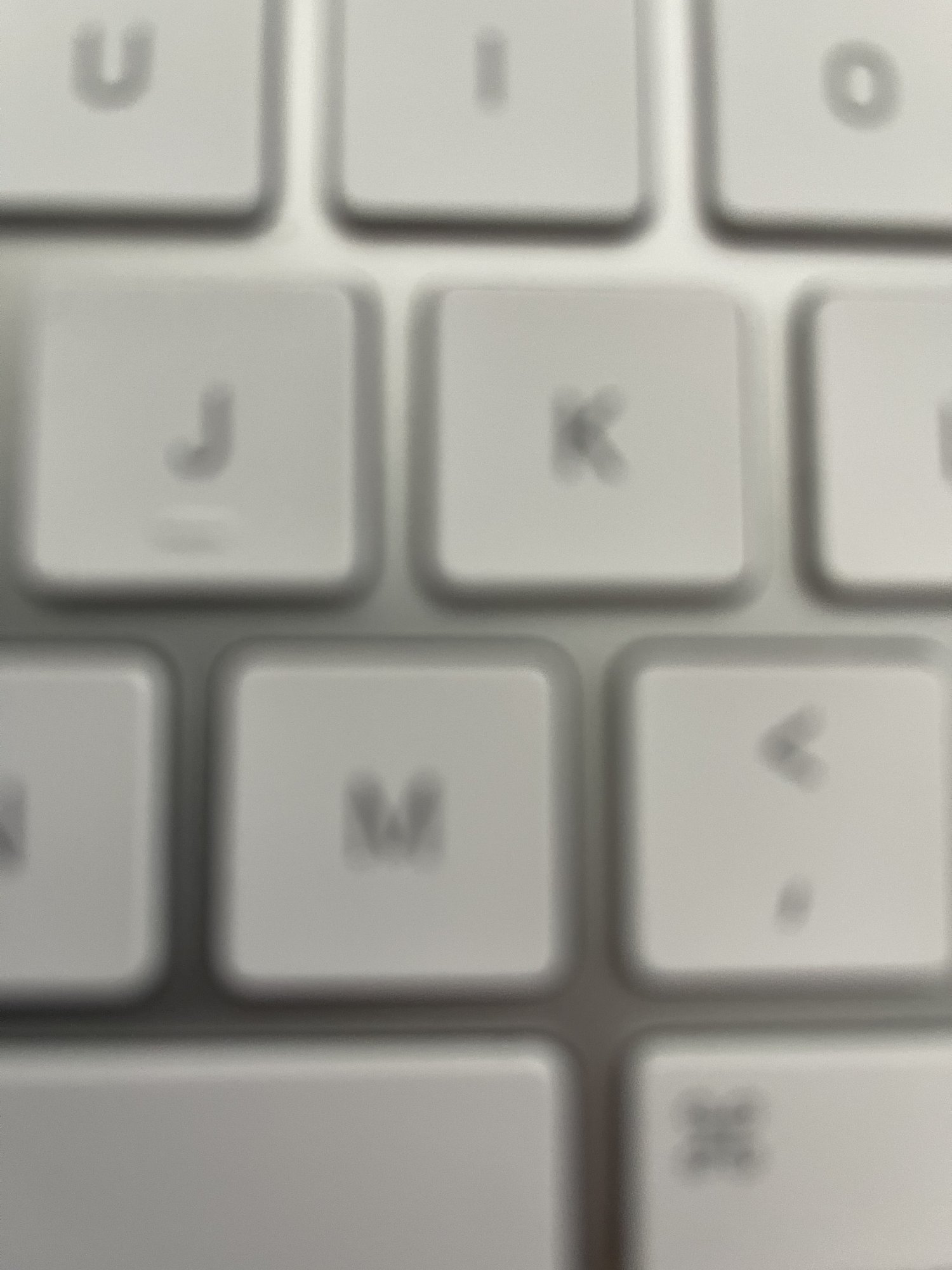 IMG_1754.jpeg