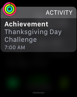 IMG_1765.PNG