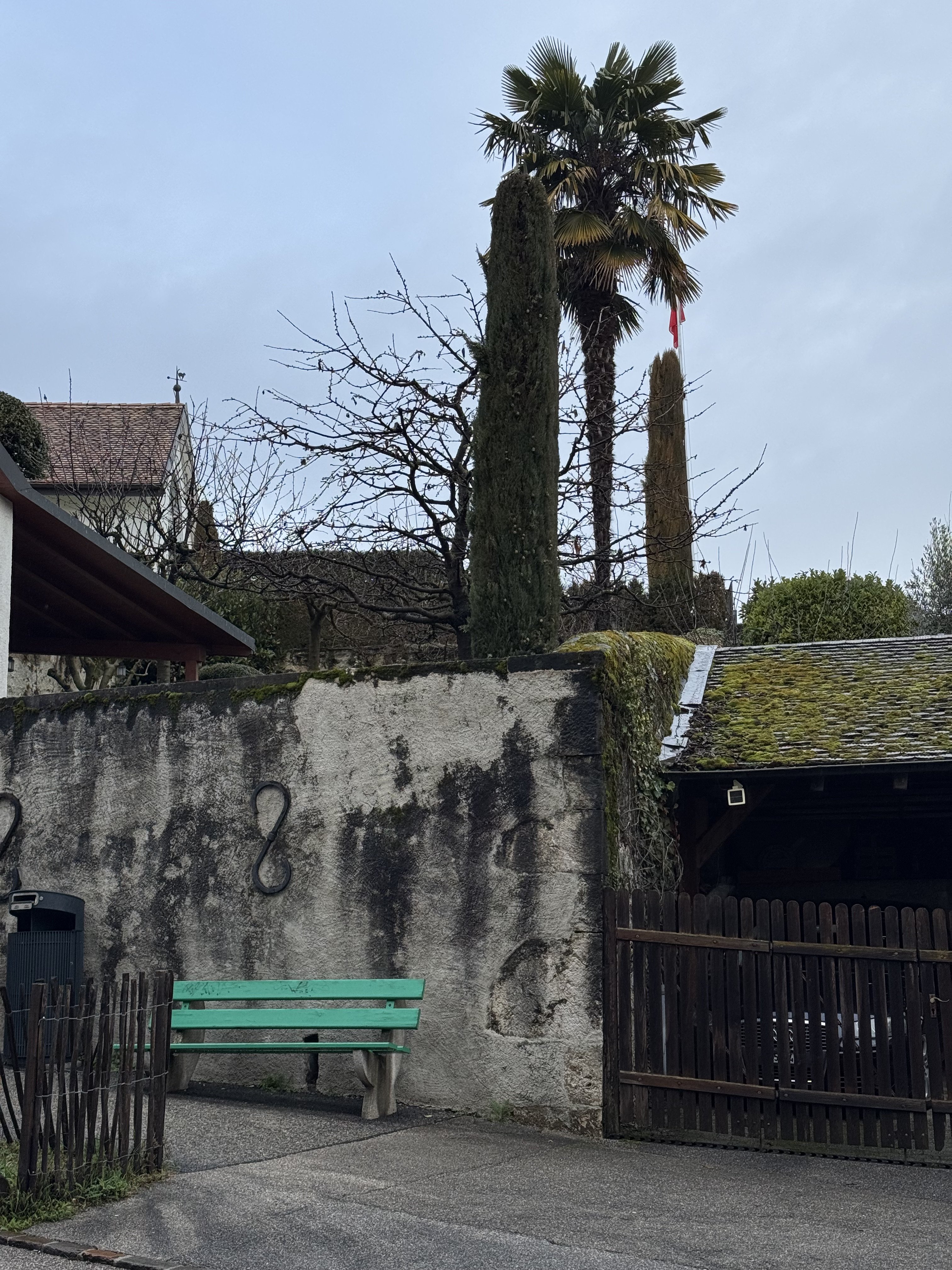 IMG_1920.jpeg