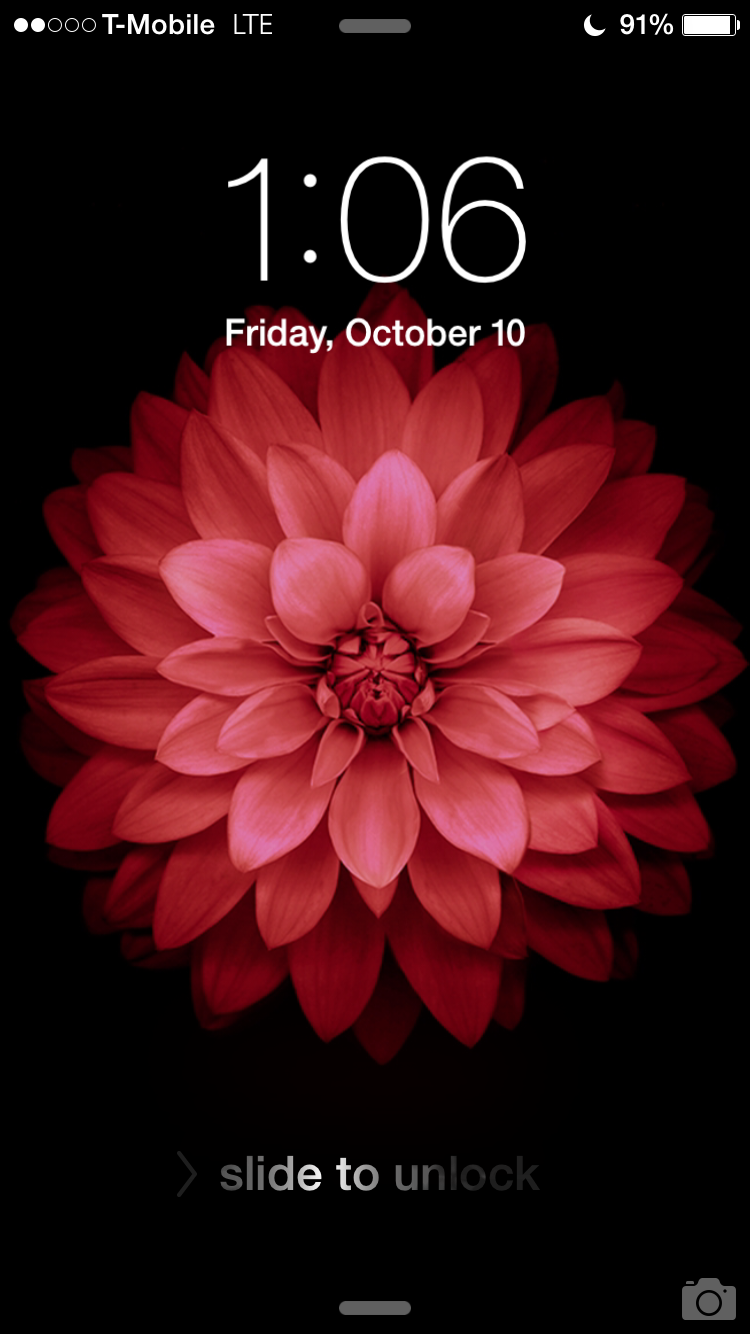 IMG_1953.PNG