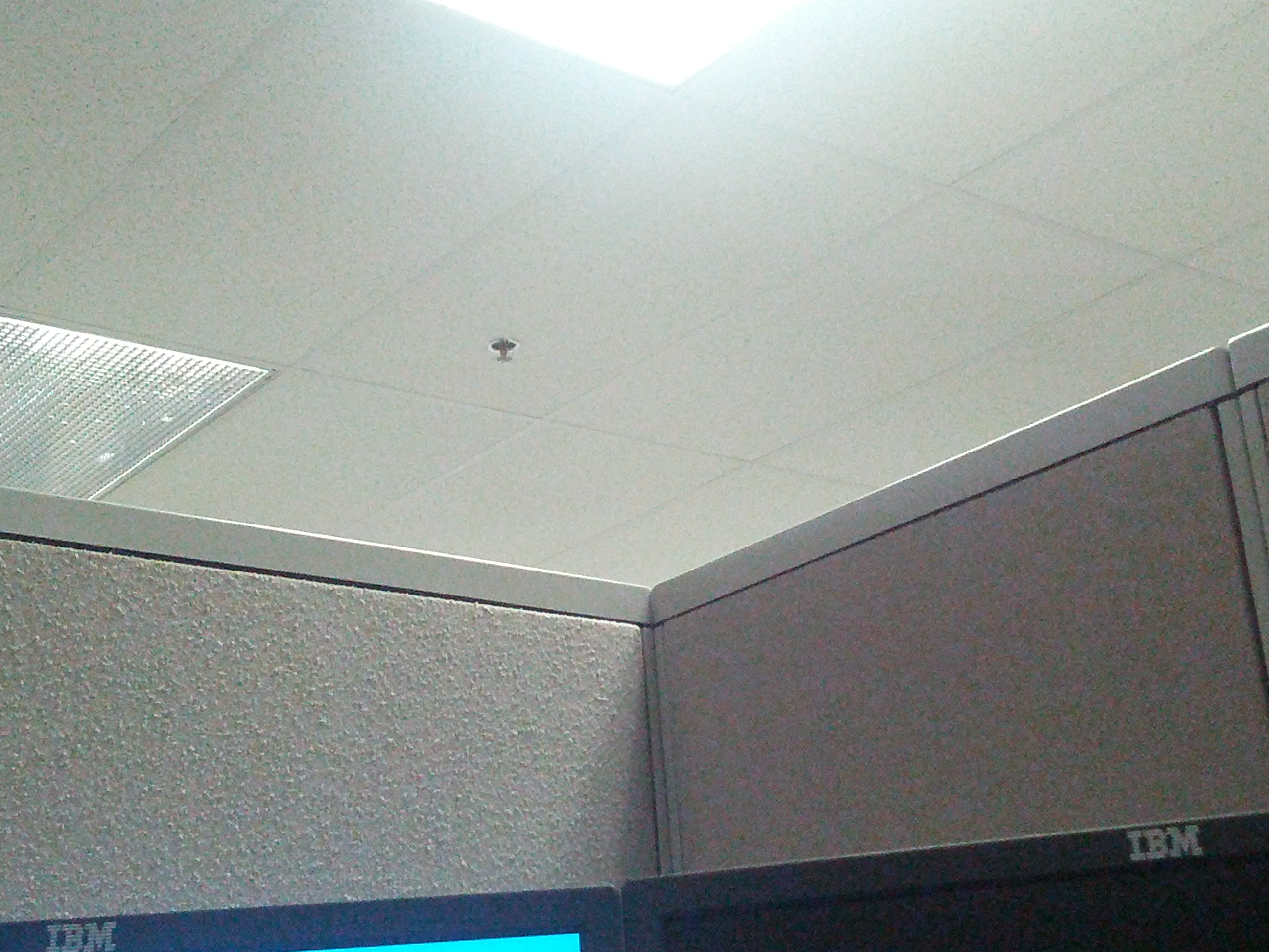 IMG_20120927_083825.jpg