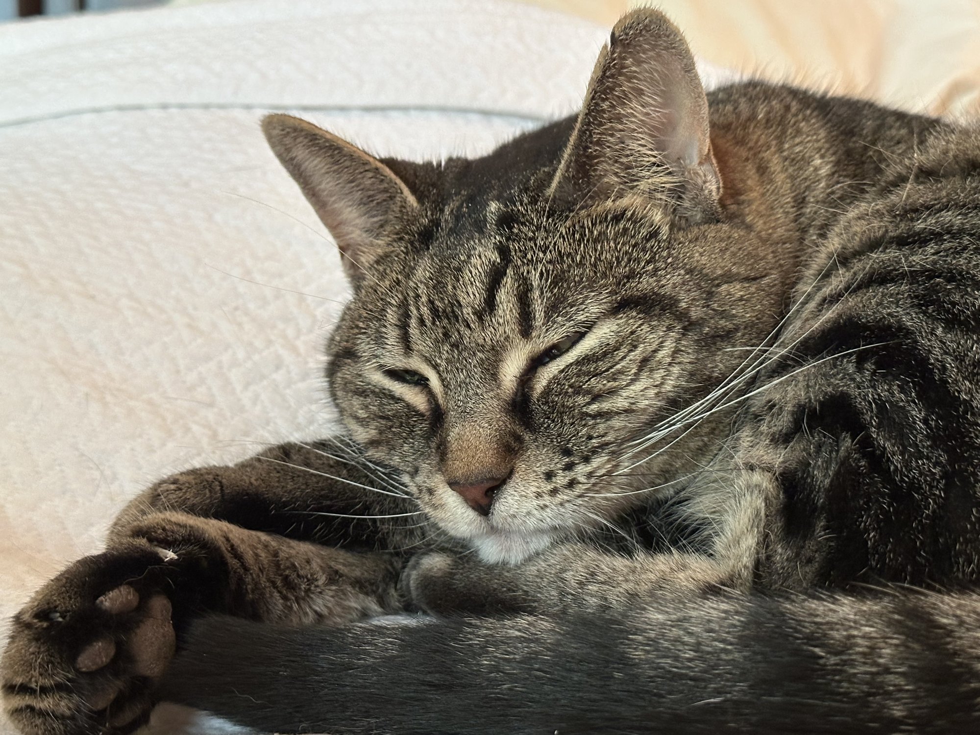 IMG_2015.jpeg