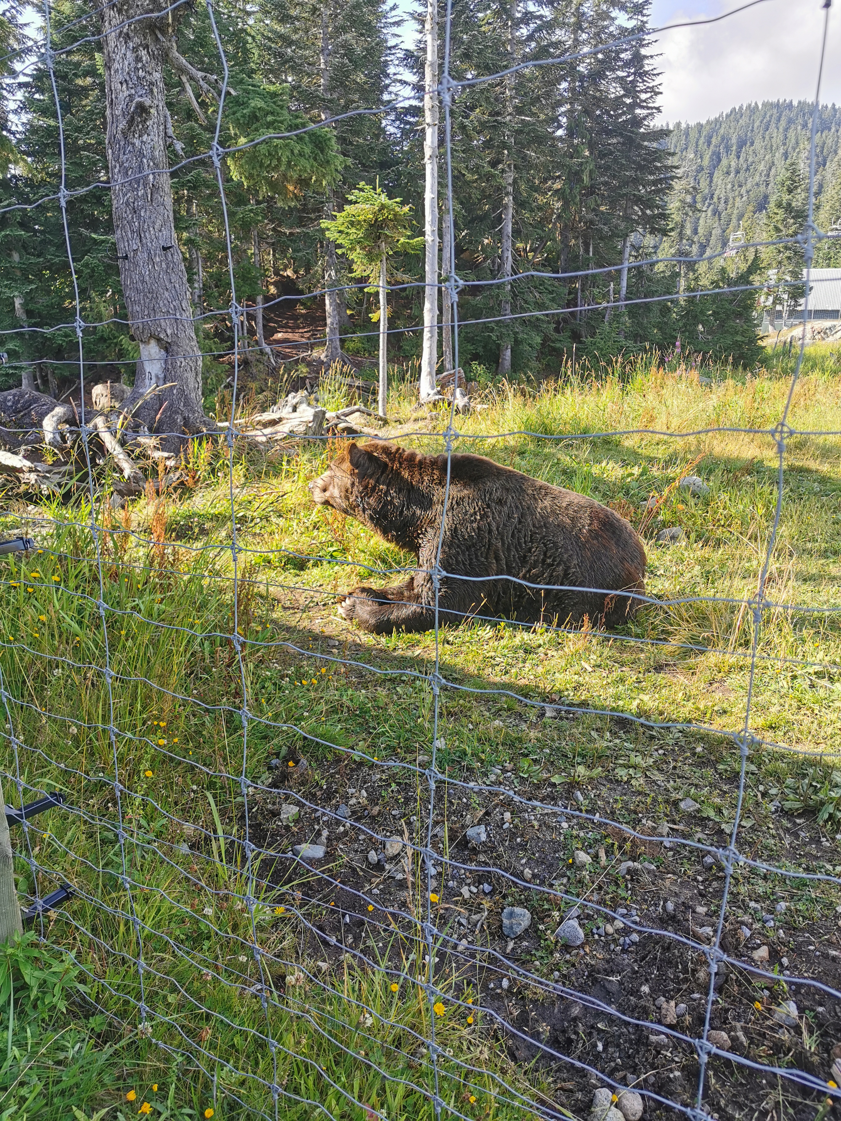 IMG_20190822_164216.jpg