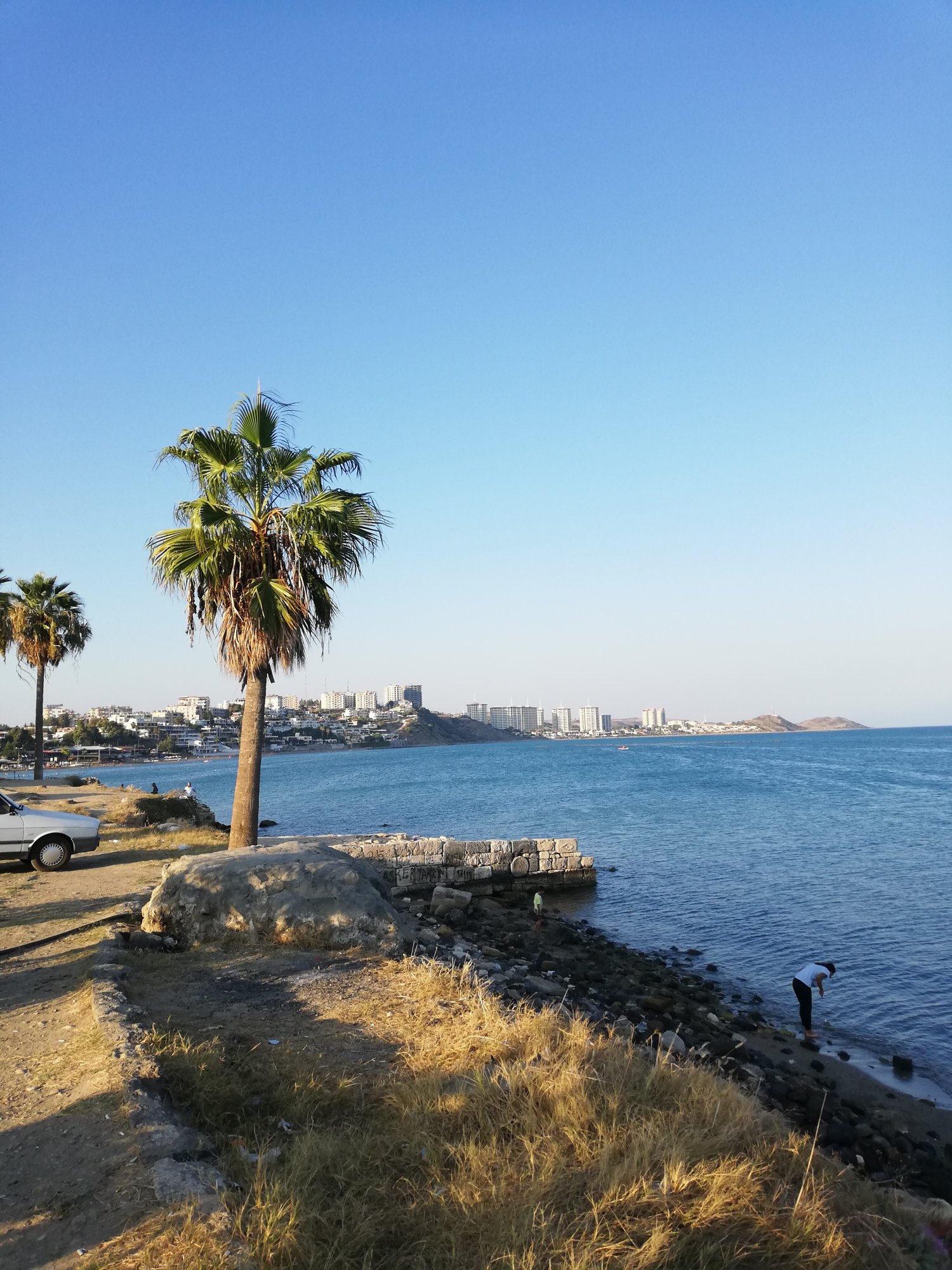 IMG_20190929_172324_Original.jpeg