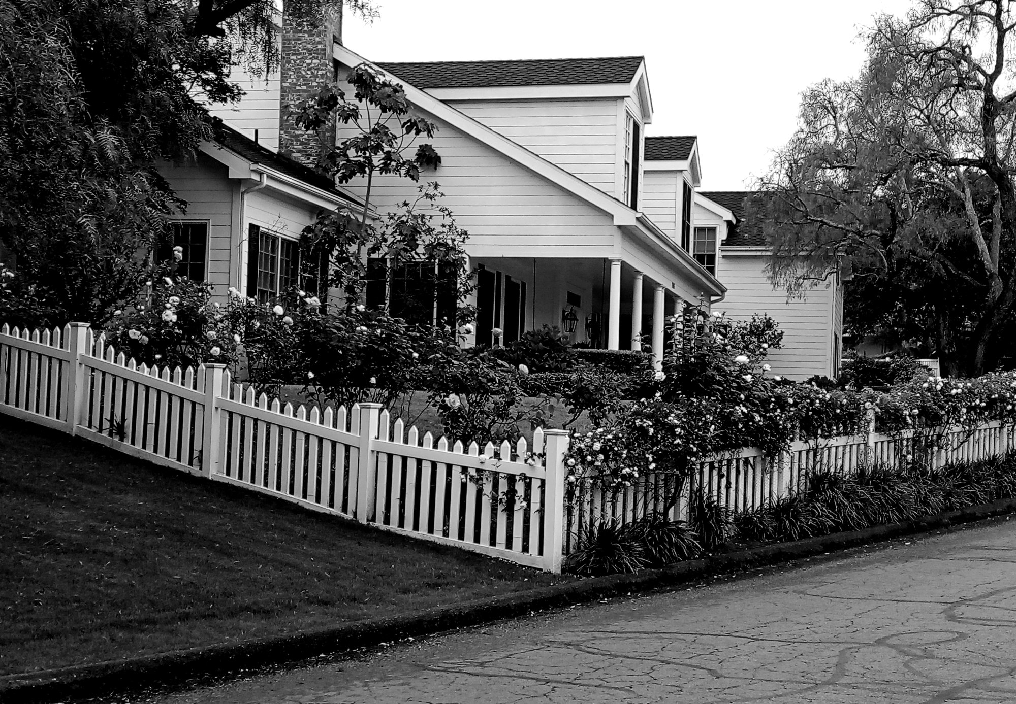 IMG_20250502_083415 xbw.jpg