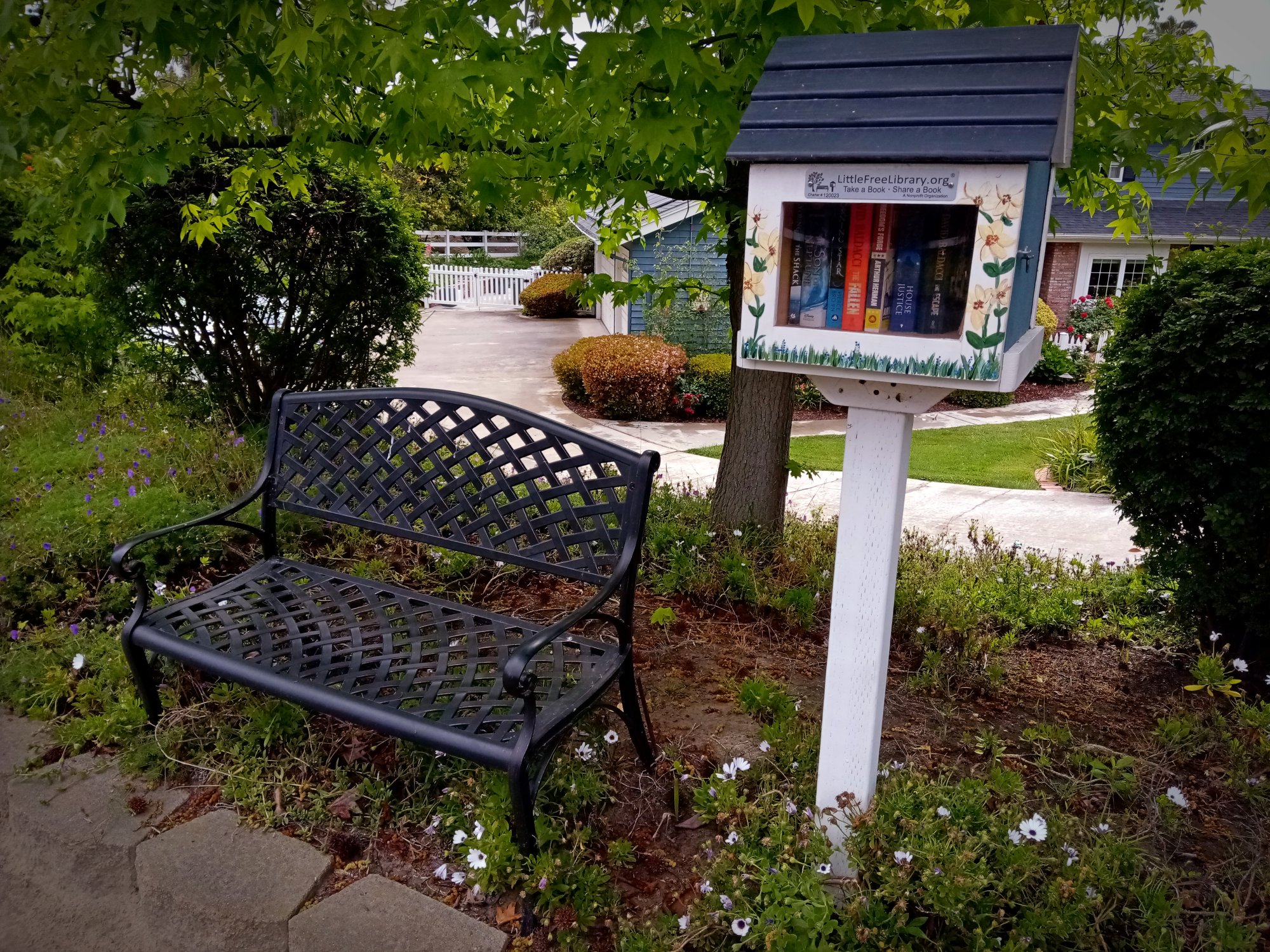 IMG_20250504_084608 xv.jpg