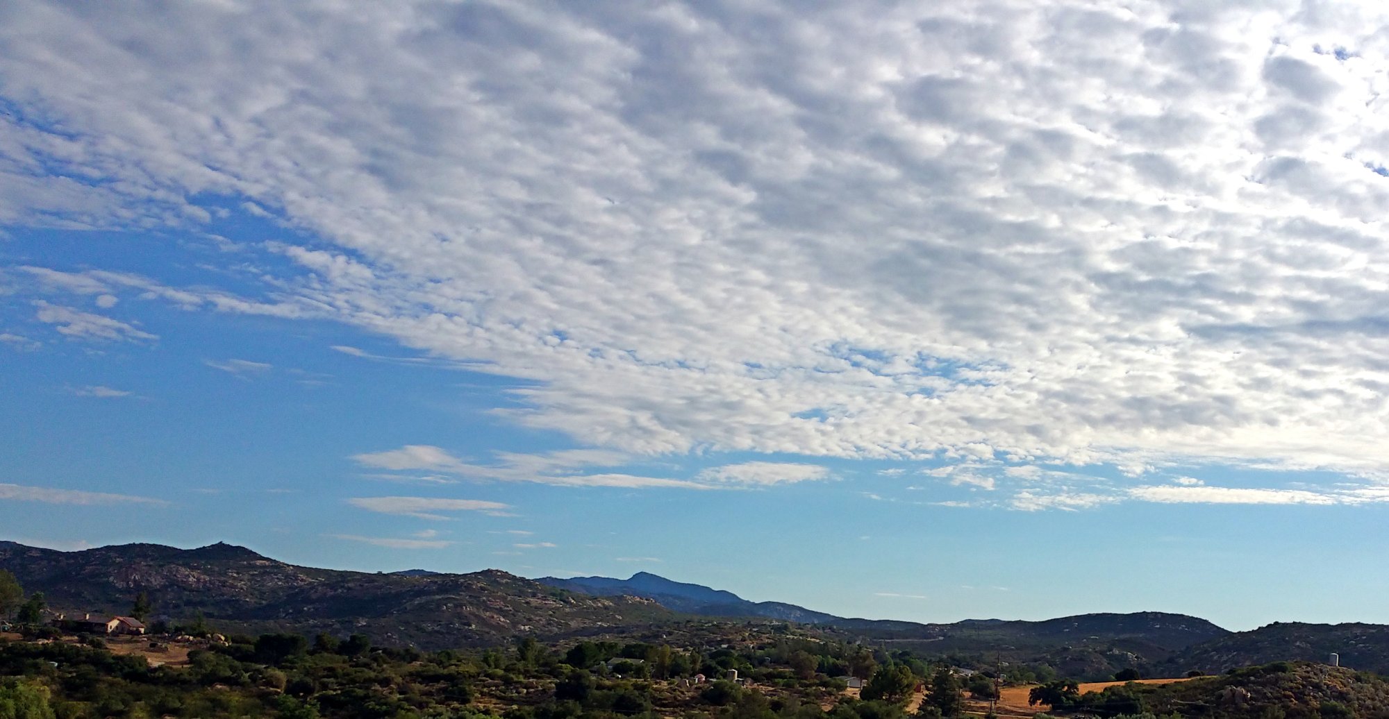 IMG_20250708_075105 x.jpg