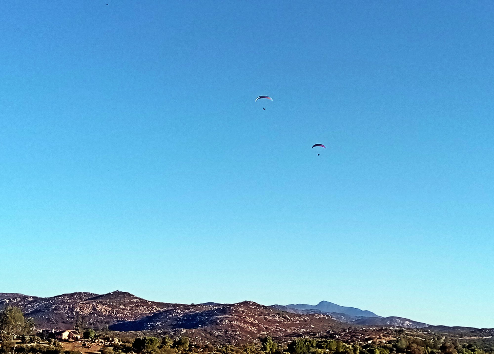 IMG_20251011_081954 cropx2.jpg