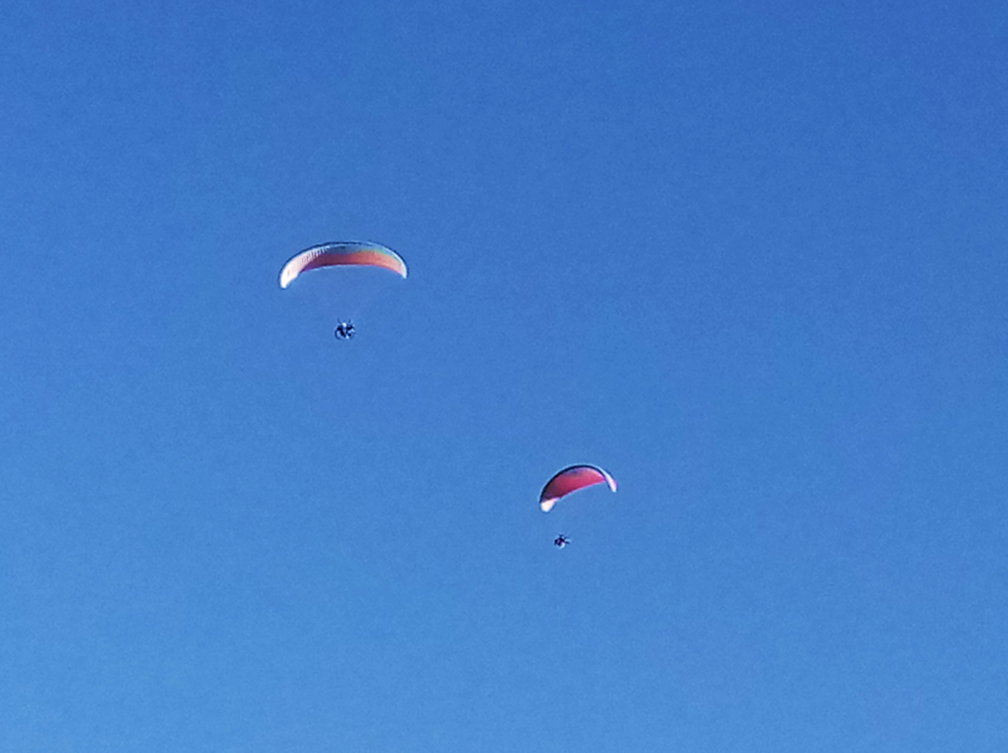 IMG_20251011_082024 cropx.jpg