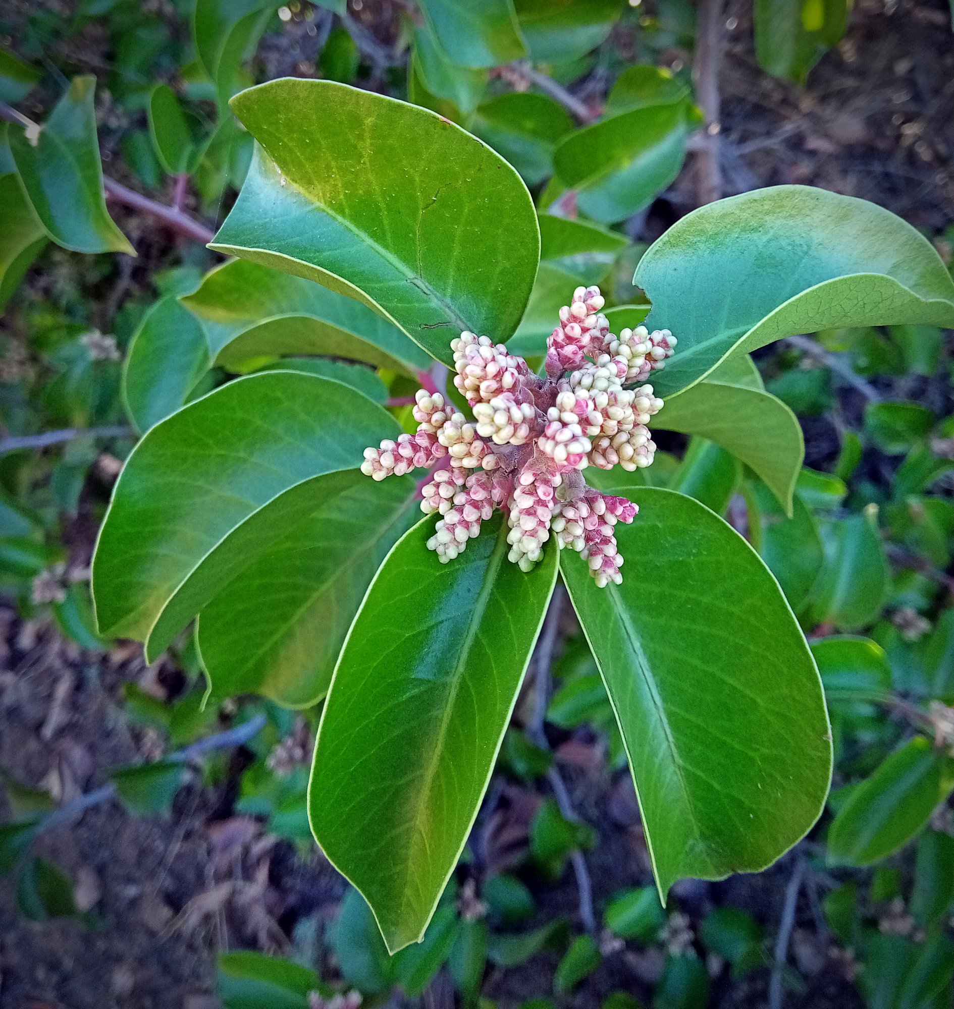 IMG_20251101_093950 xv.jpg