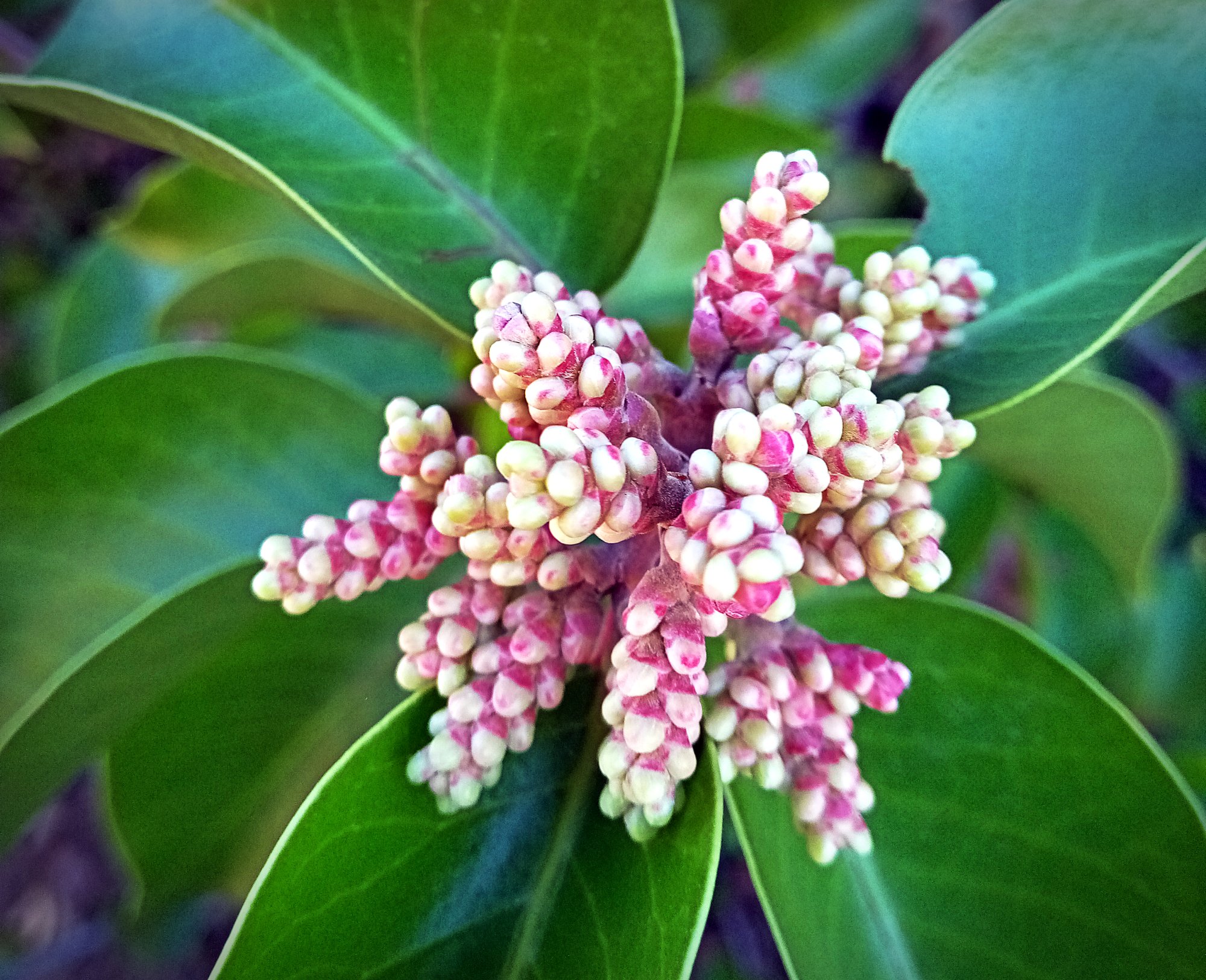 IMG_20251101_093957 xv.jpg