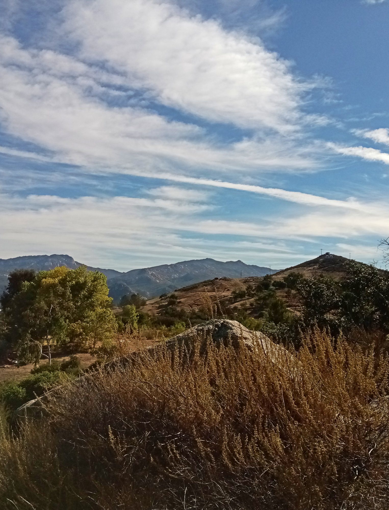 IMG_20251103_085549 cropx.jpg