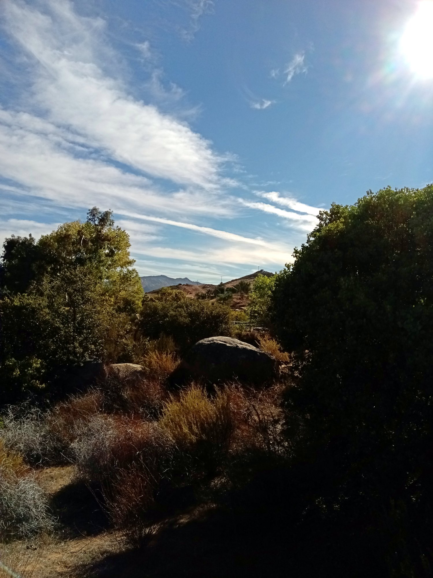 IMG_20251103_085655 x.jpg