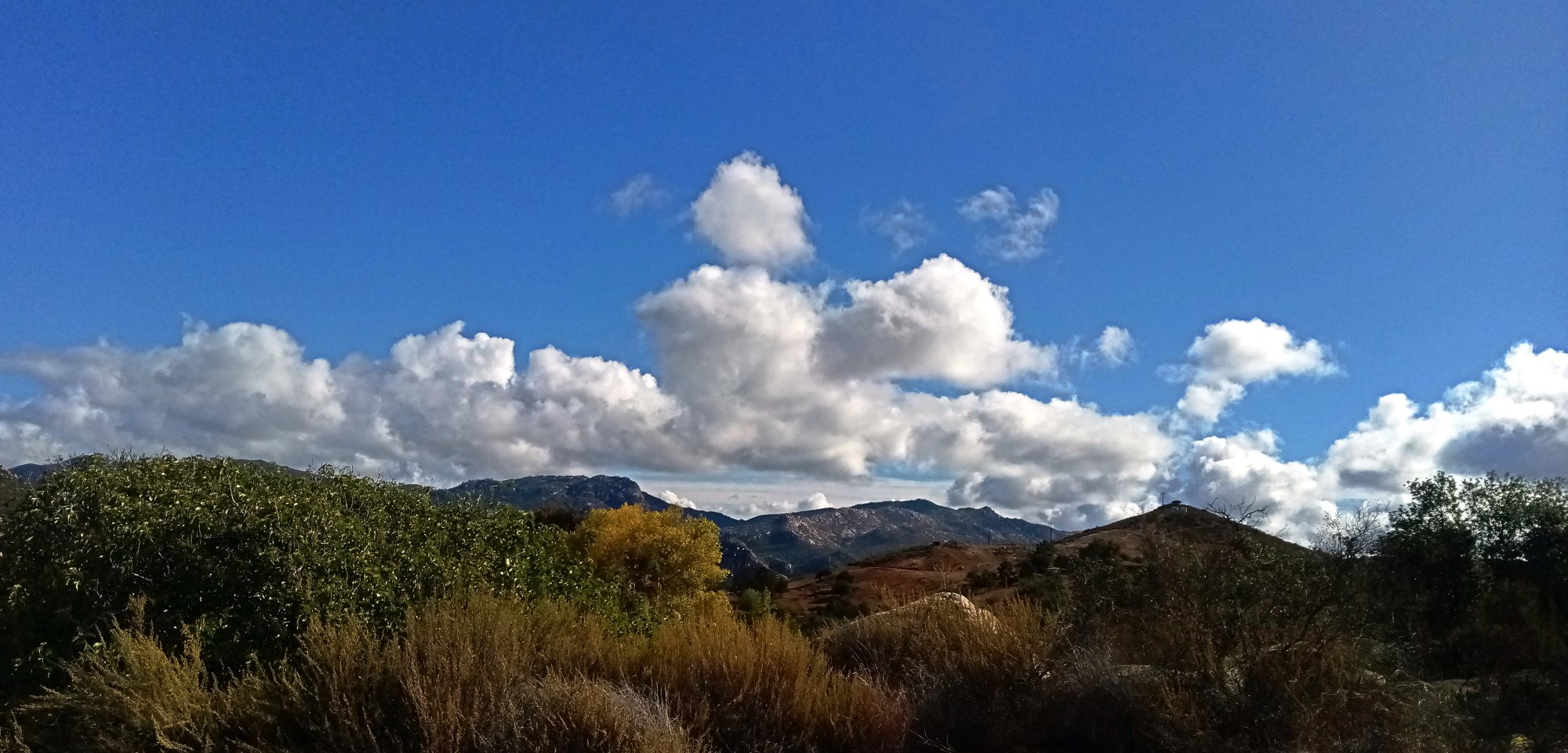 IMG_20251119_101145 cropx.jpg