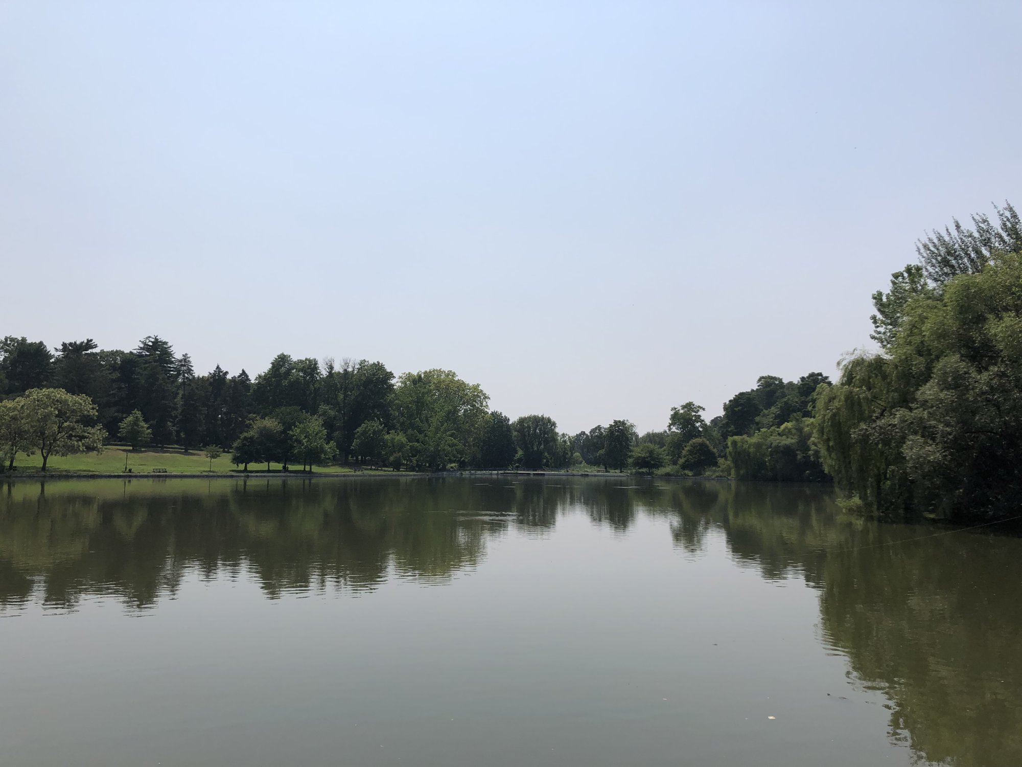 IMG_2062.jpeg