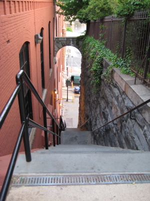 IMG_2272.jpg