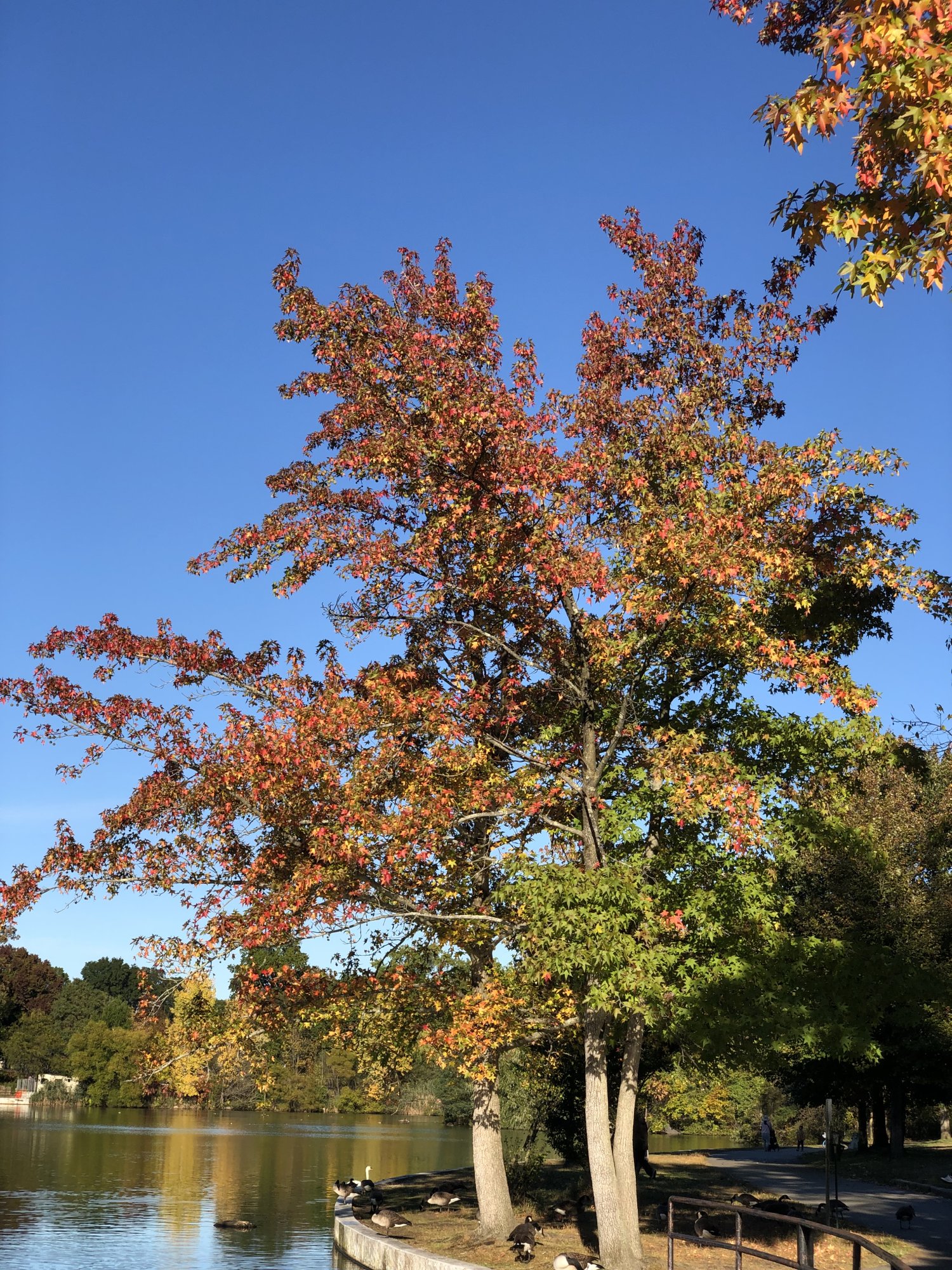 IMG_2280.jpeg