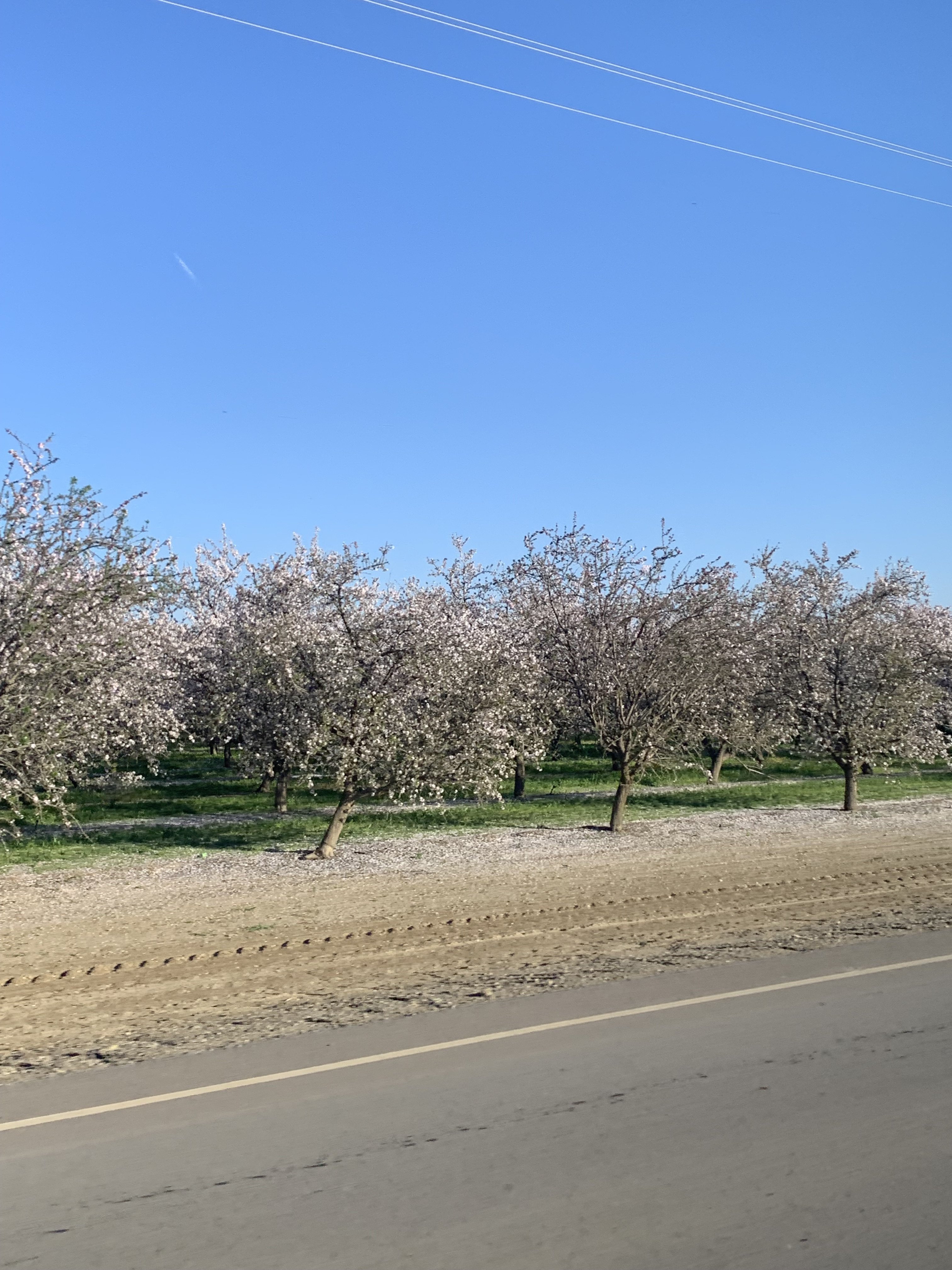 IMG_2292.jpeg