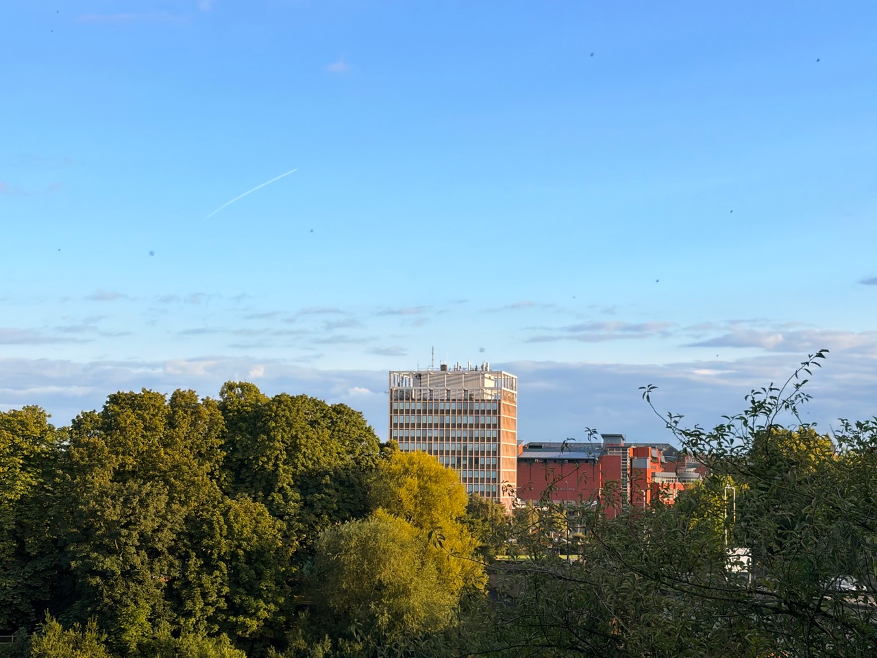 IMG_2572.jpeg