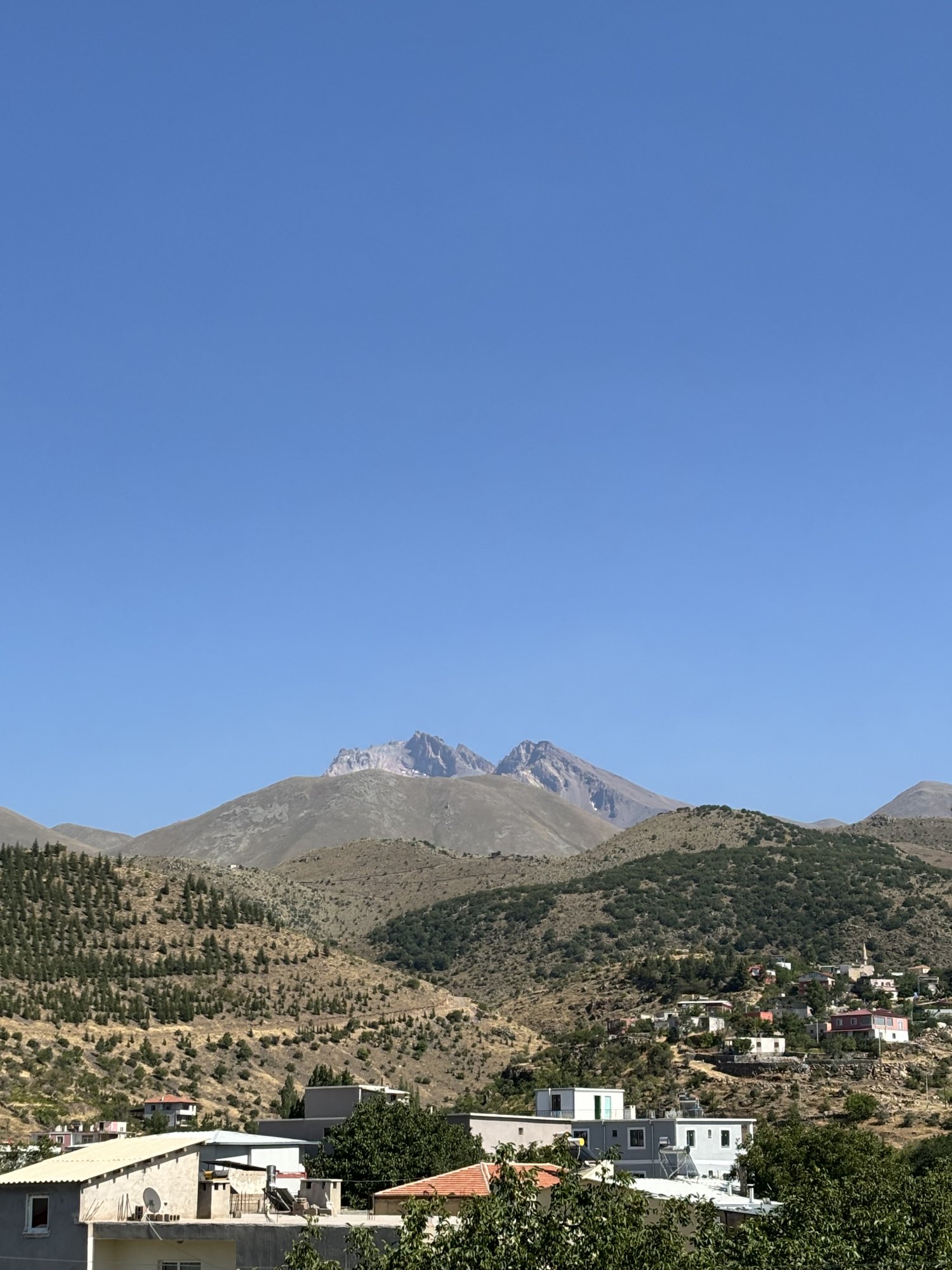 IMG_2584.jpeg