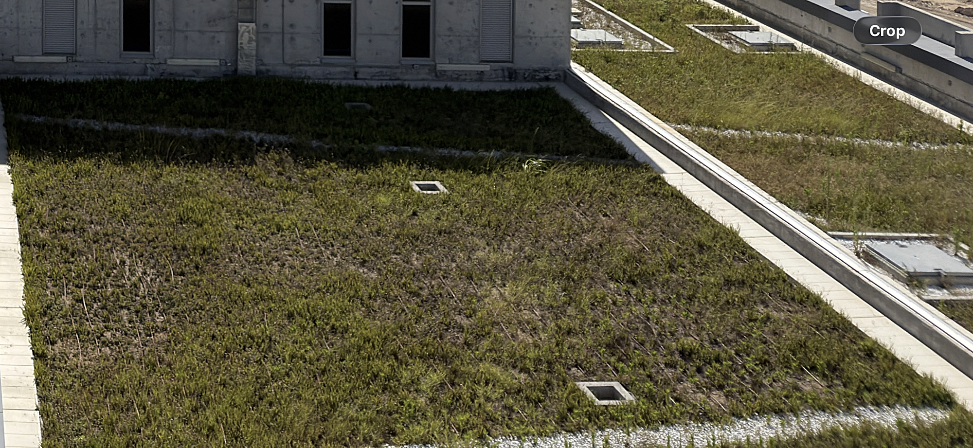 IMG_2666%20Edited Edited.jpg