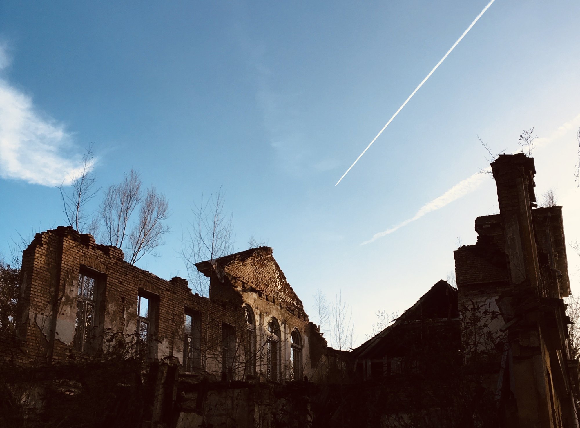 IMG_2683.jpeg