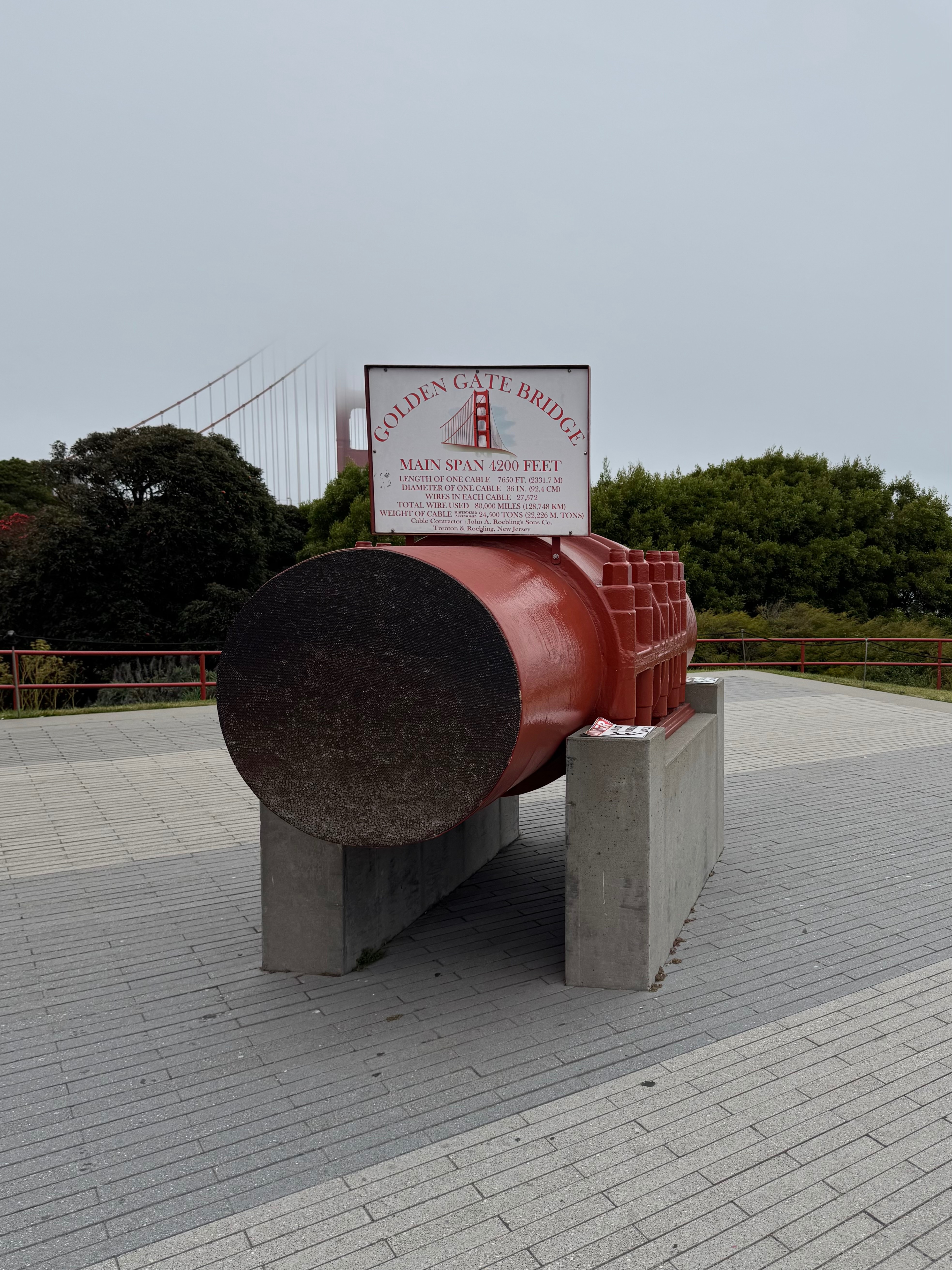 IMG_2751.jpeg
