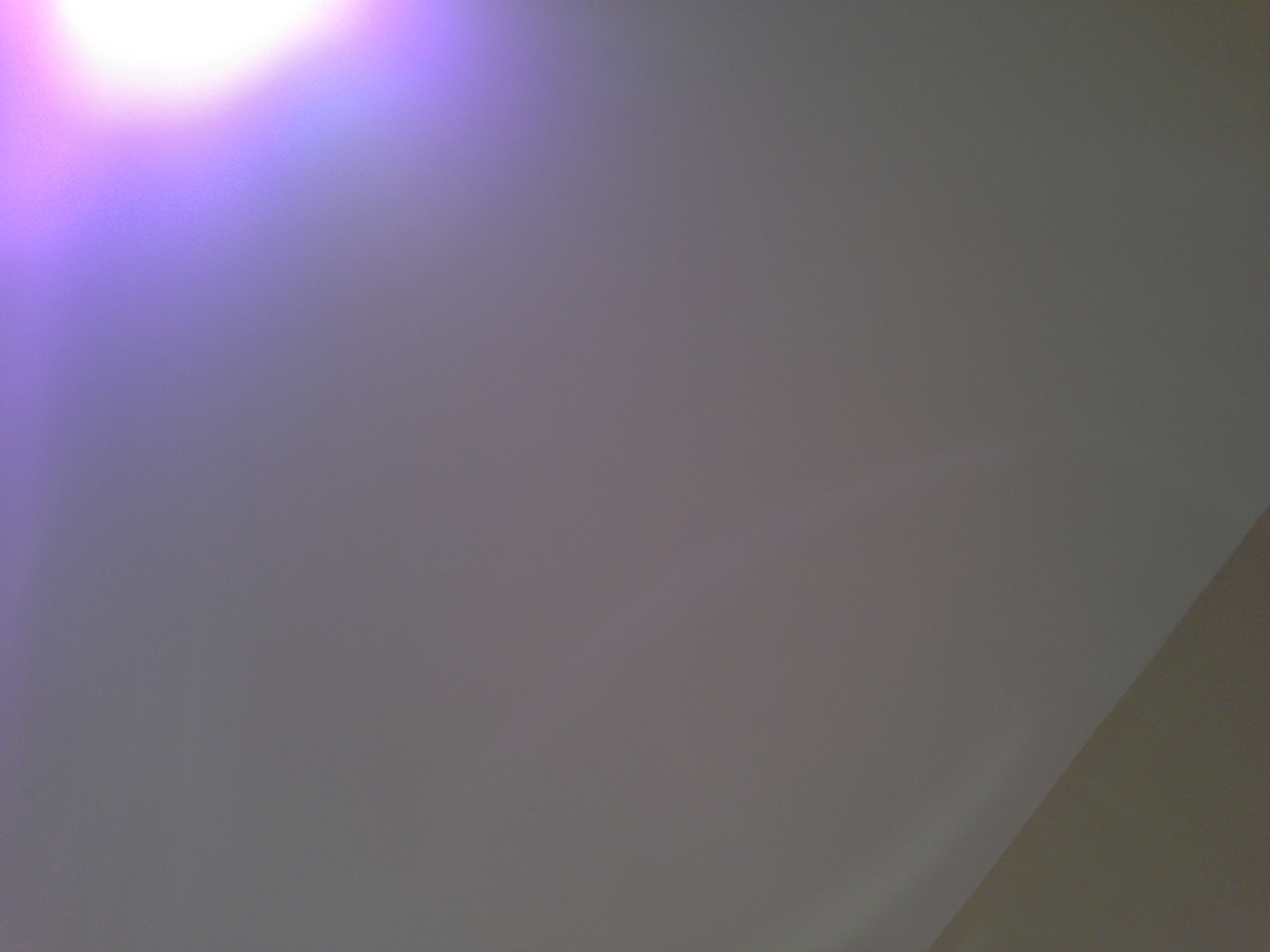 IMG_2996.JPG