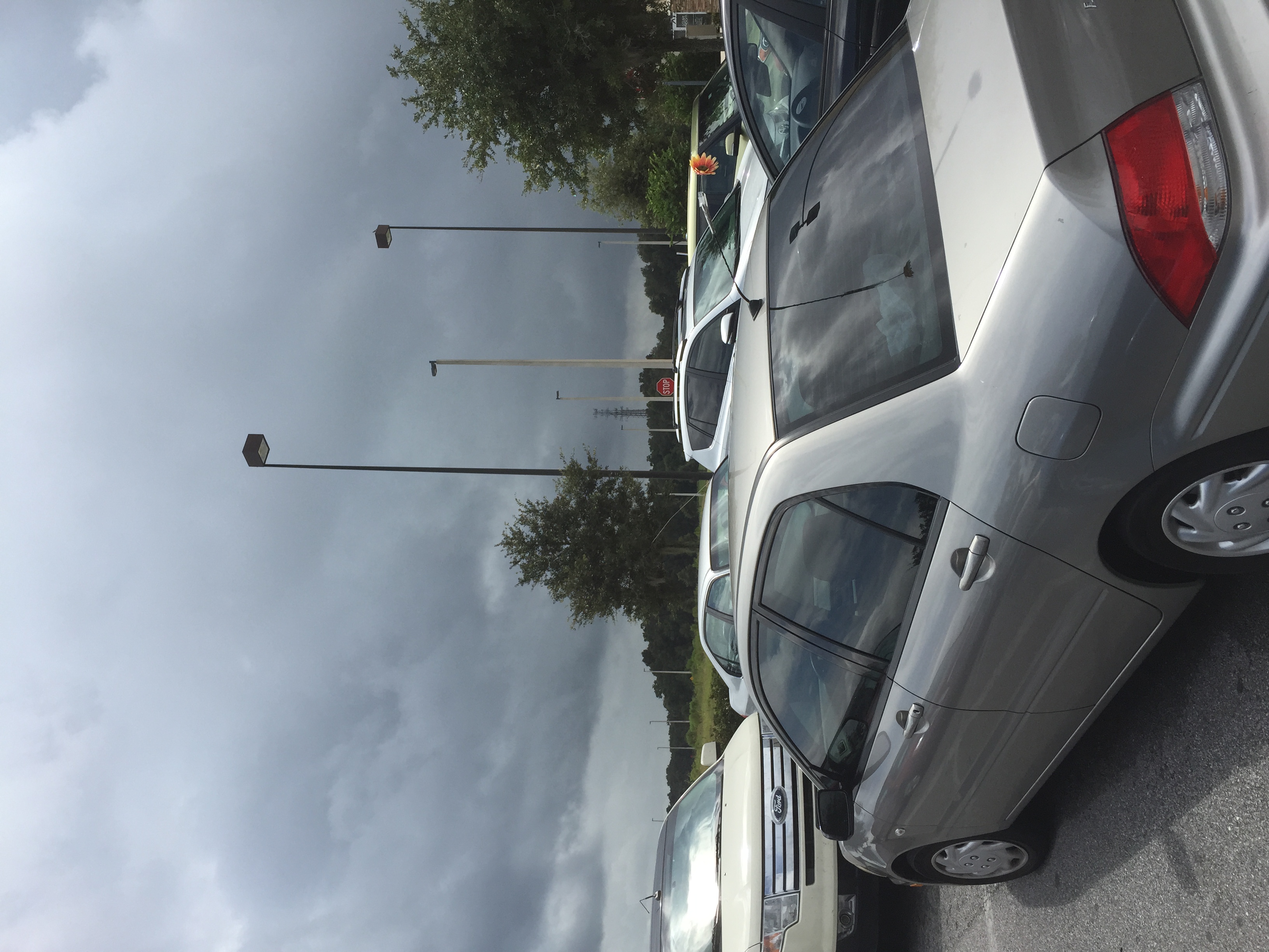 IMG_3020.jpeg