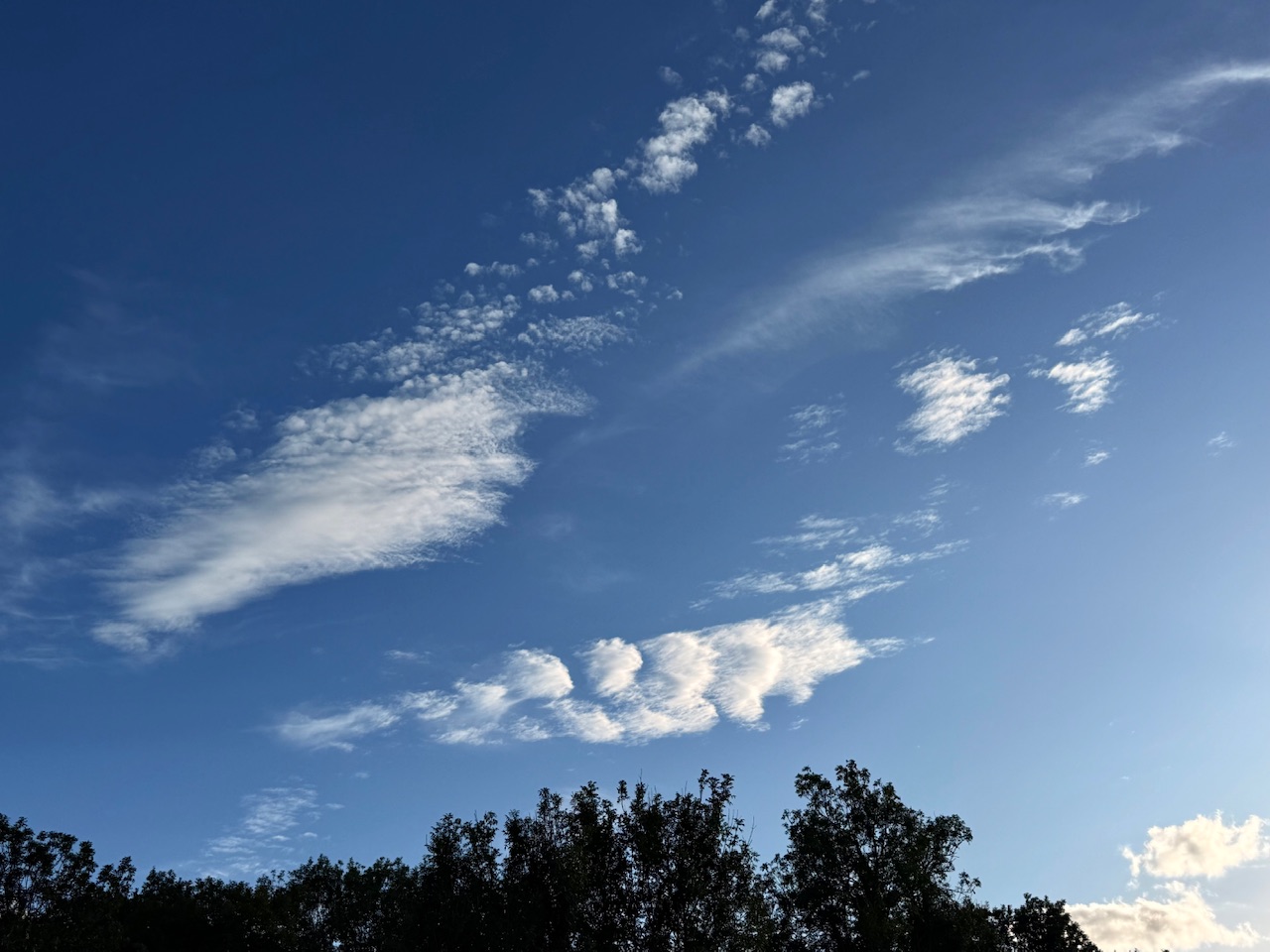 IMG_3096.jpeg